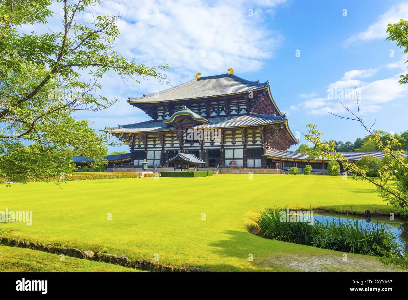 Ampio prato verde sulla facciata di ingresso frontale, sui terreni della sala principale del grande Buddha, Daibutsuden, su una bella mattinata d'estate con cielo blu al tempio Todai-ji Foto Stock