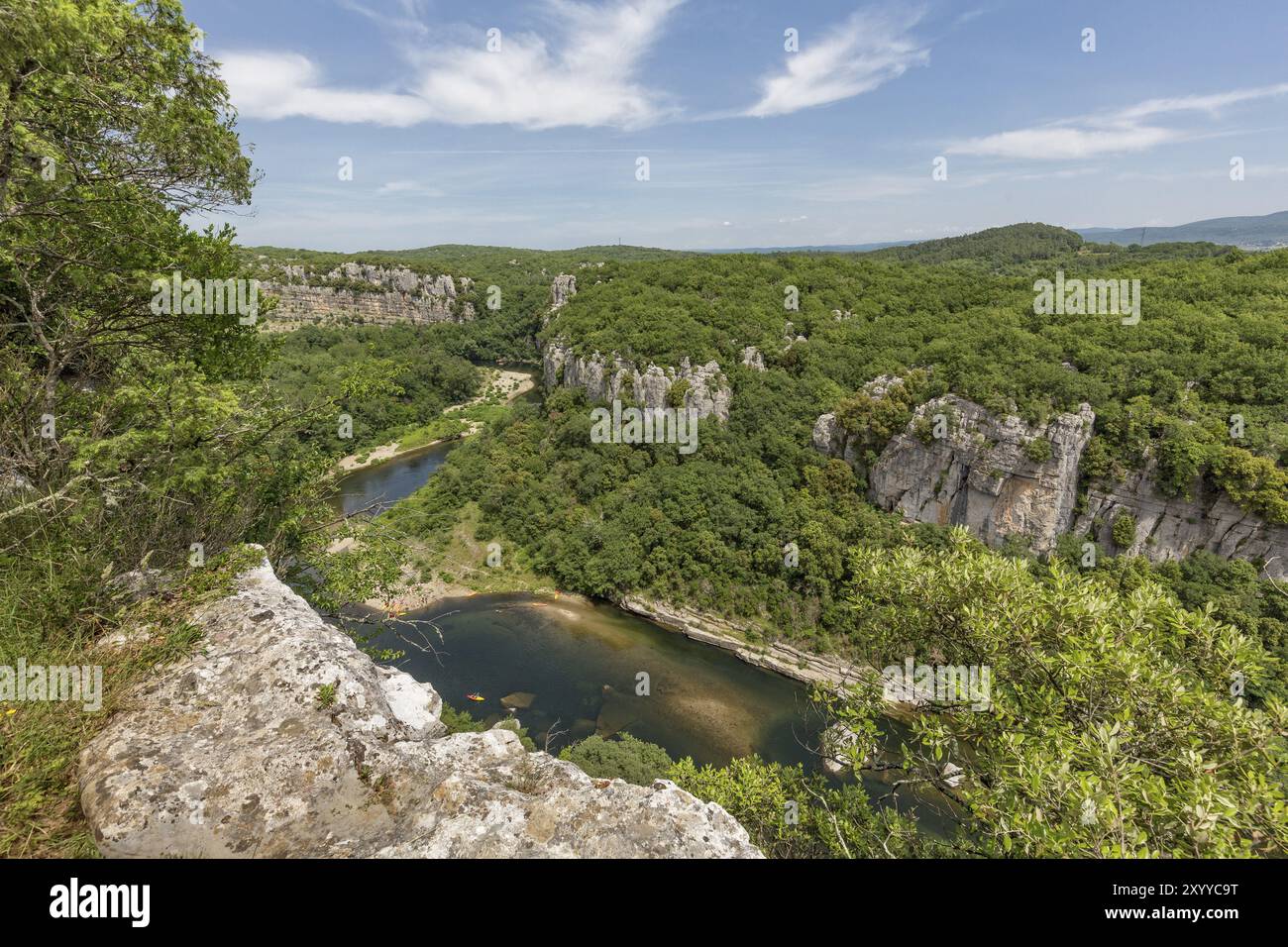 Vista dal Bois de Paiolive sulla gola di Chassezac, nel sud della Francia Foto Stock