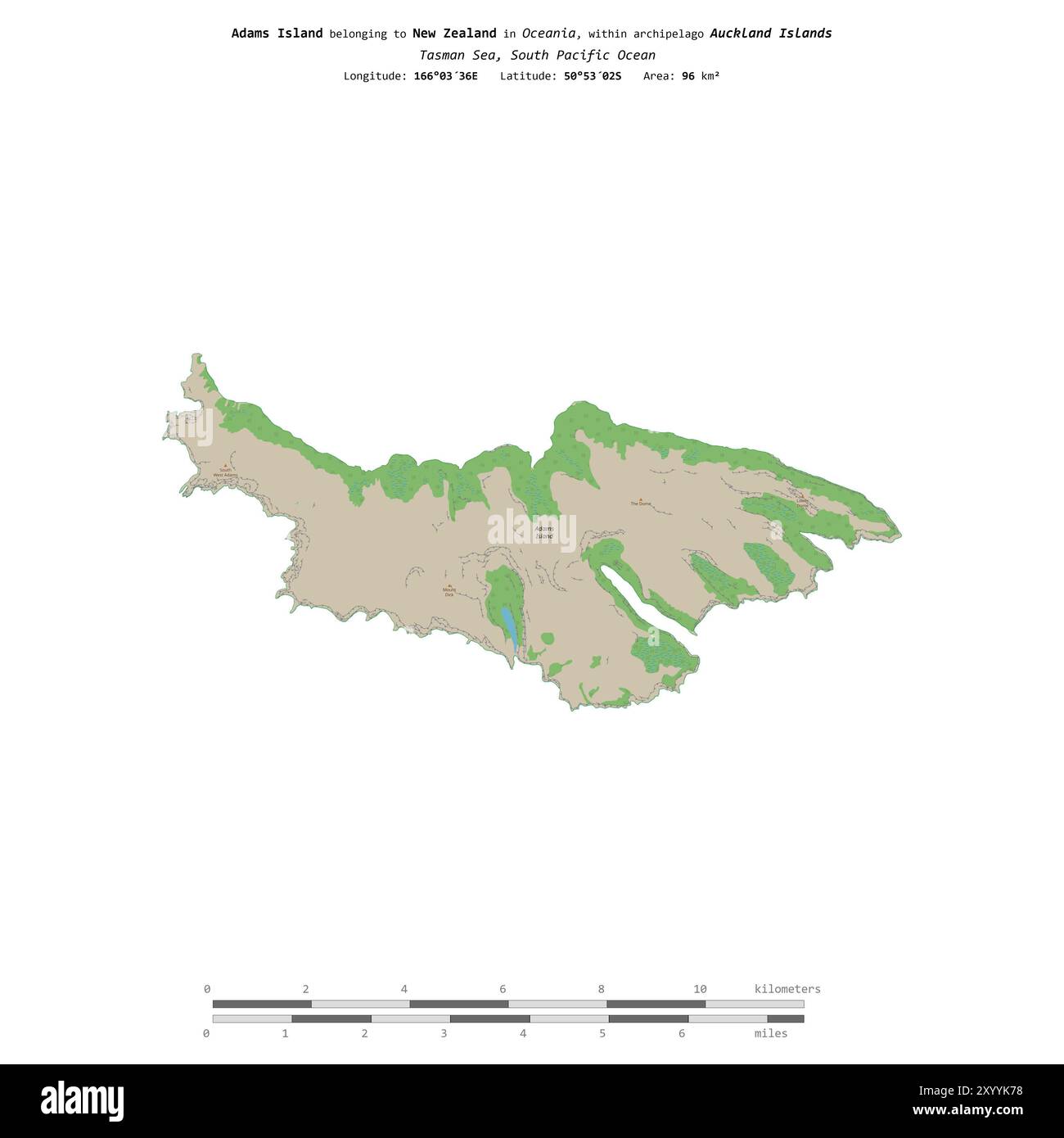 Adams Island nel Mare di Tasman, appartenente alla nuova Zelanda, isolata su una mappa topografica in stile OSM, con scala di distanza Foto Stock