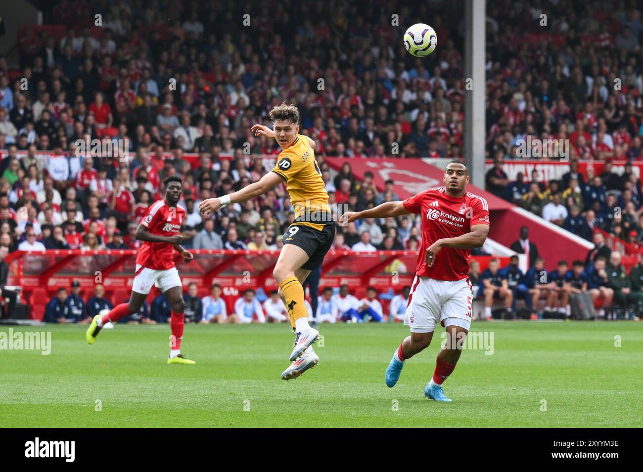 Jörgen Strand Larsen dei Wolverhampton Wanderers si dirige in prima linea durante la partita di Premier League Nottingham Forest vs Wolverhampton Wanderers al City Ground, Nottingham, Regno Unito, 31 agosto 2024 (foto di Craig Thomas/News Images) Foto Stock