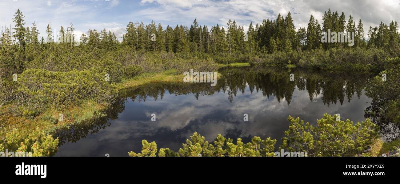 Il lago Bog nella foresta boema Foto Stock