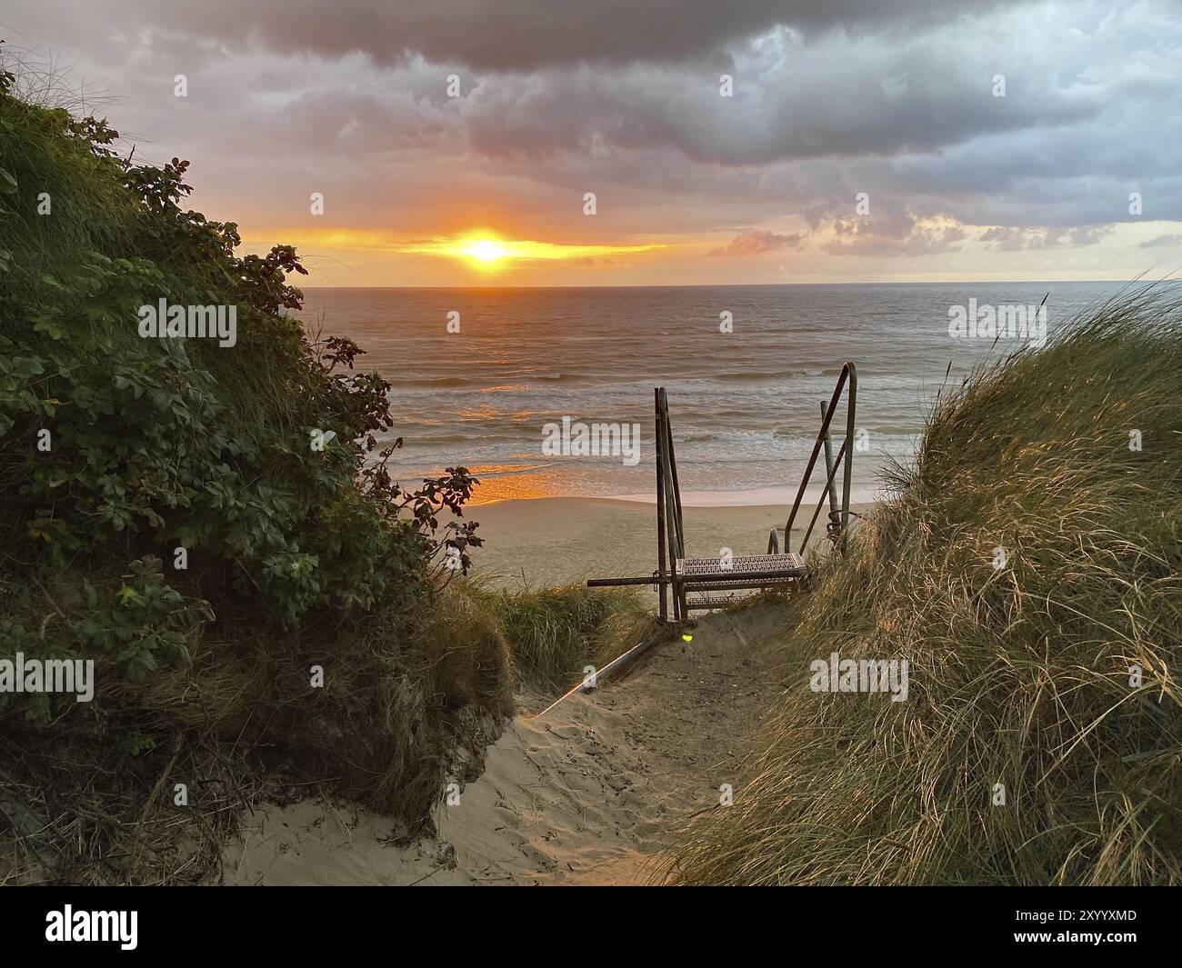 Tramonto sul mare, le scale conducono giù attraverso le dune verso la spiaggia, circondata da piante, vacanze, Lokken, Jutland, Danimarca, Europa Foto Stock