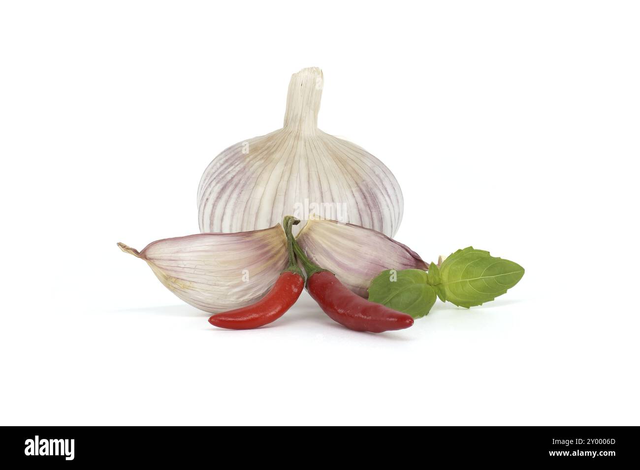 Bulbo d'aglio intero con due spicchi d'aglio nelle vicinanze di due peperoncini rossi, accompagnati da un rametto di foglie di basilico isolate su sfondo bianco Foto Stock