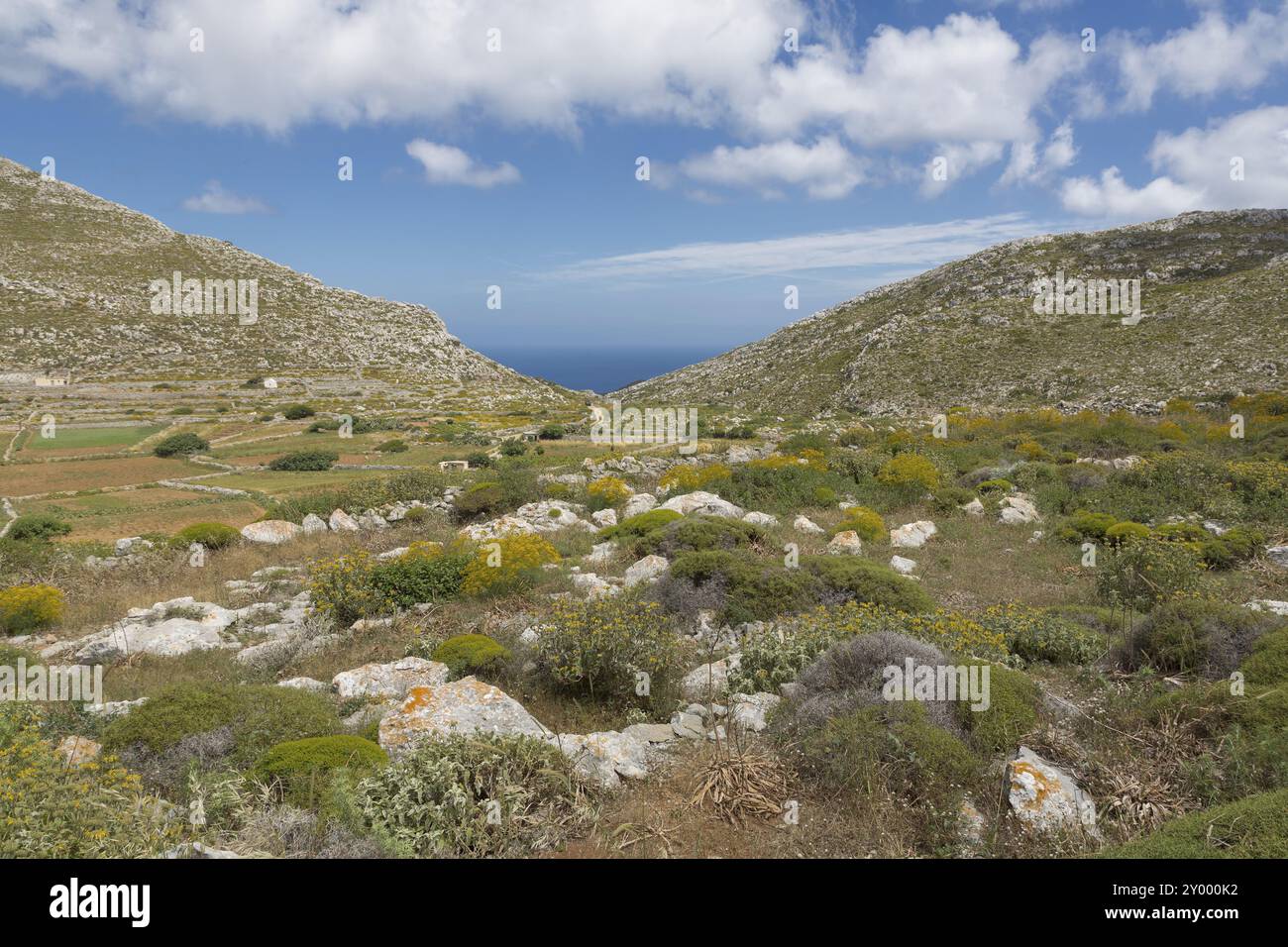 Paesaggio nel nord di Karpathos, Grecia, Europa Foto Stock