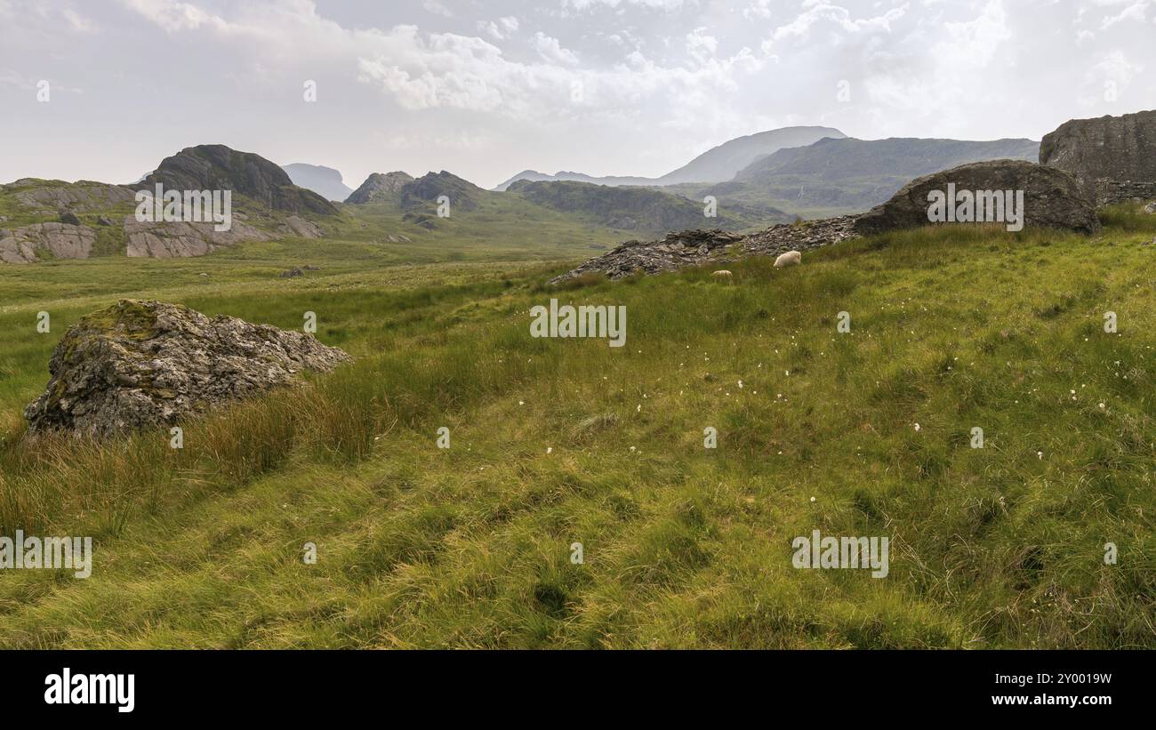 Snowdonia paesaggio vicino a Blaenau Ffestiniog, la vista da Moel yr Hydd, Gwynedd, Wales, Regno Unito Foto Stock