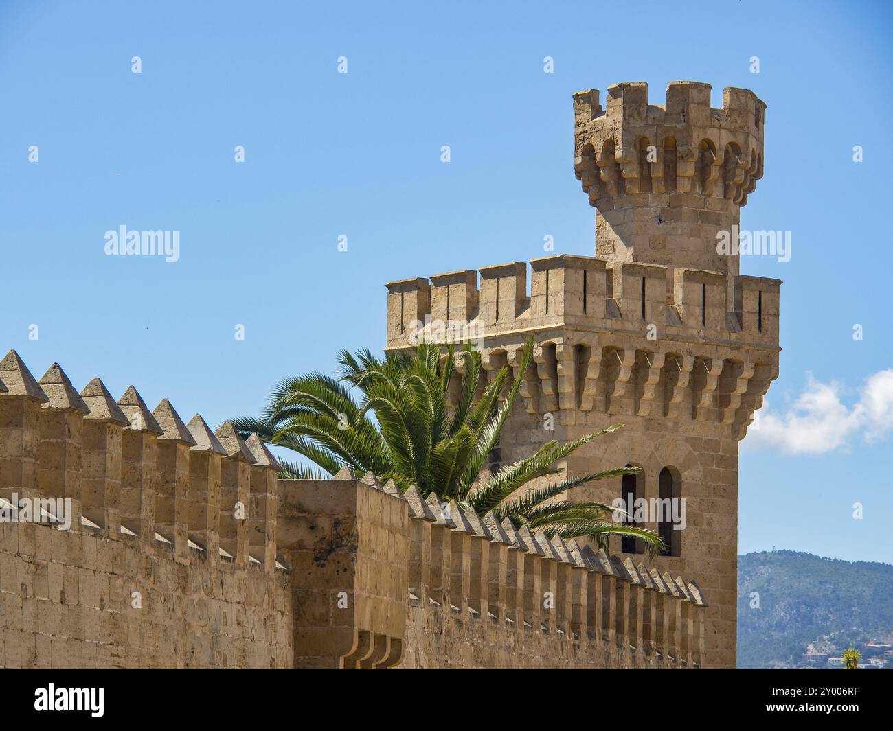 Castello storico con torre e palme, muro di pietra sotto un cielo limpido, palma di Maiorca, maiorca, isole baleari, spagna Foto Stock