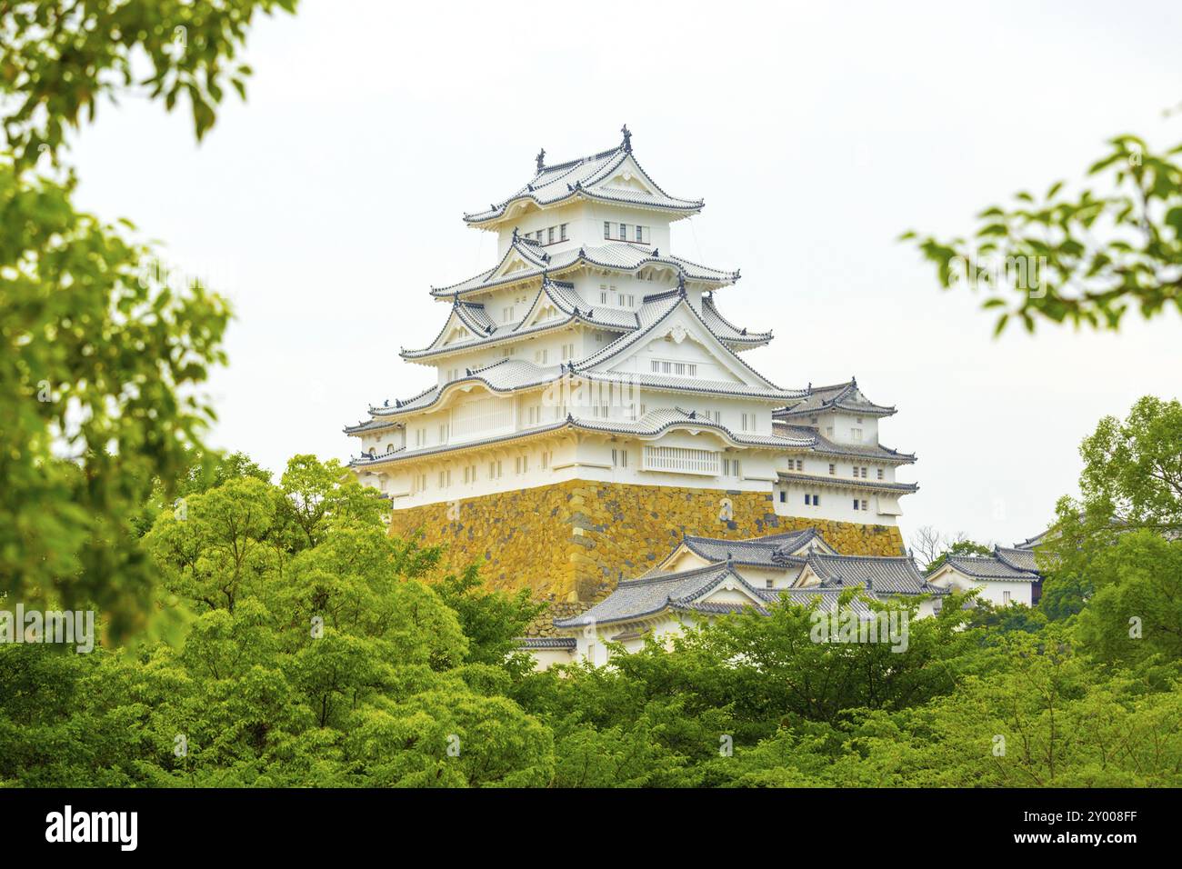 Alberi e foglie di incorniciatura dei bellissimi dettagli di Himeji-jo il Castello su nuvoloso giorno Himeji, Giappone dopo 2015 restauri terminata Foto Stock