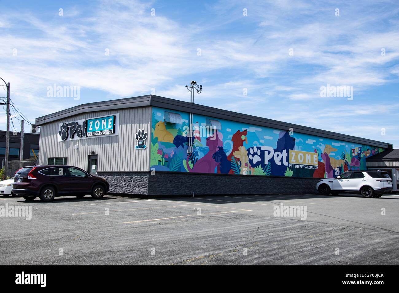 Murale PET zone su o'Leary Avenue a St. John's, Newfoundland & Labrador, Canada Foto Stock