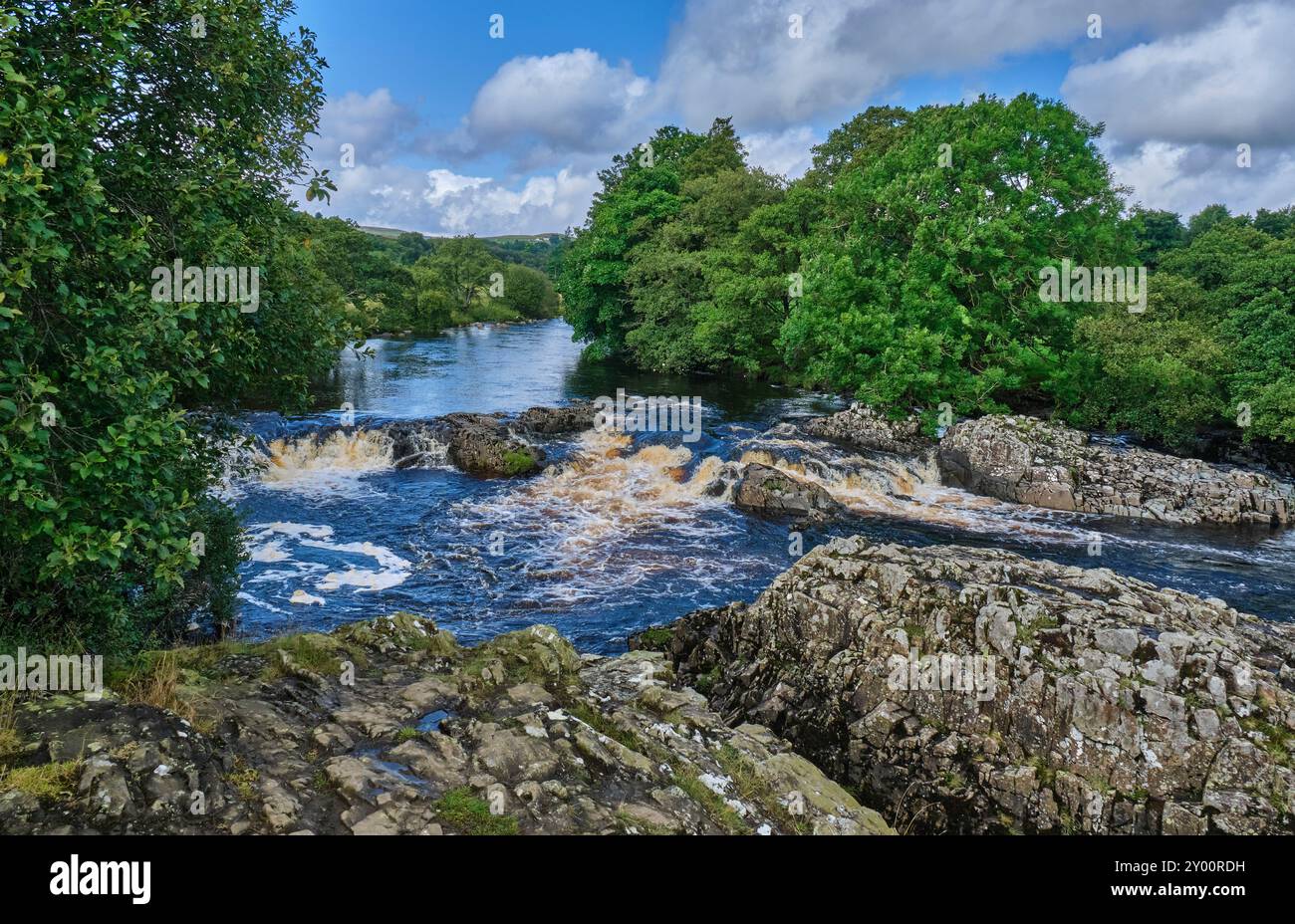 Il fiume Tees vicino a Low Force Waterfall, River Tees, Teesdale, vicino a Newbiggin, contea di Durham Foto Stock