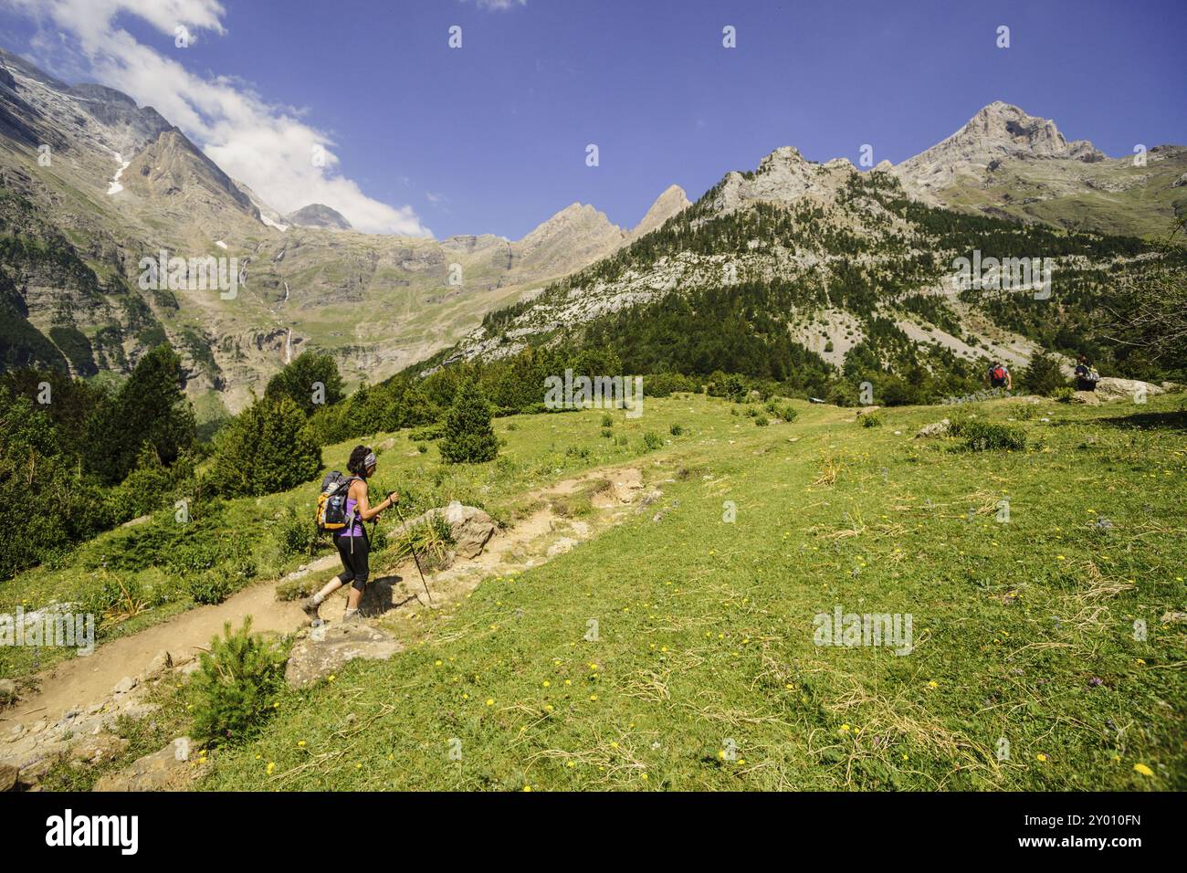 Camino de los Llanos de la Larri, Pirineo Aragones, Huesca, Spagna, Europa Foto Stock