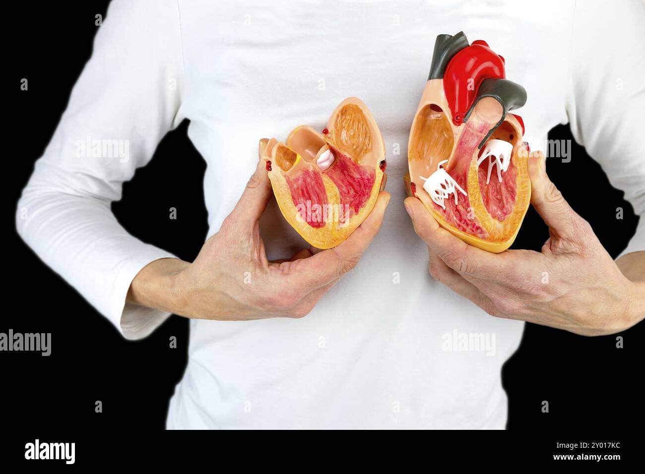 Donna che mantiene aperto il cuore umano modello a corpo bianco Foto Stock