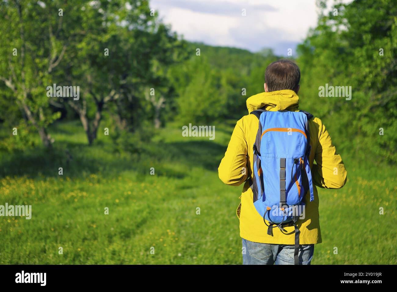 Vista posteriore dell'uomo con zaino trekking nella foresta Foto Stock