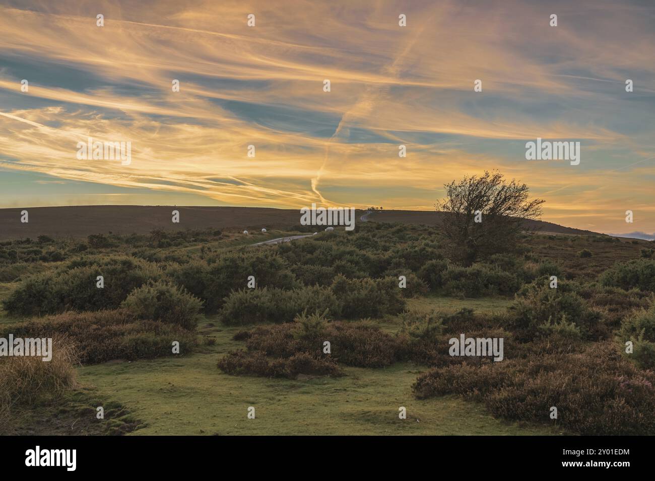 Sera la polvere oltre il paesaggio del Parco Nazionale di Exmoor sulla collina Porlock, Somerset, Inghilterra, Regno Unito Foto Stock