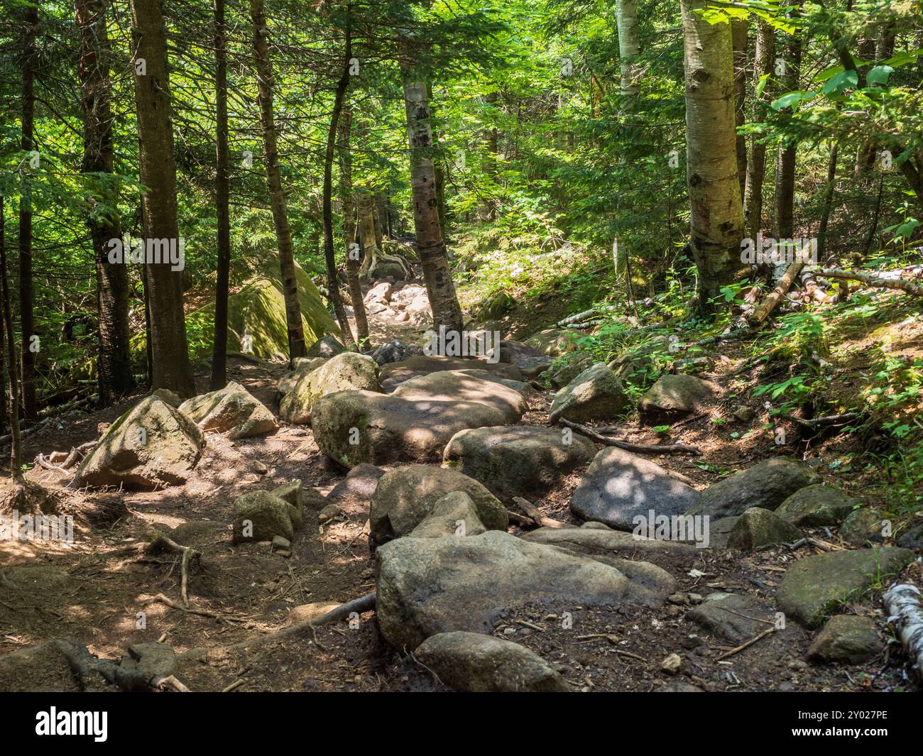 Un aspro sentiero si snoda fino alla Cascade Mountain, offrendo un'avventura impegnativa attraverso gli splendidi Adirondacks vicino al lago Placid a New Yor Foto Stock