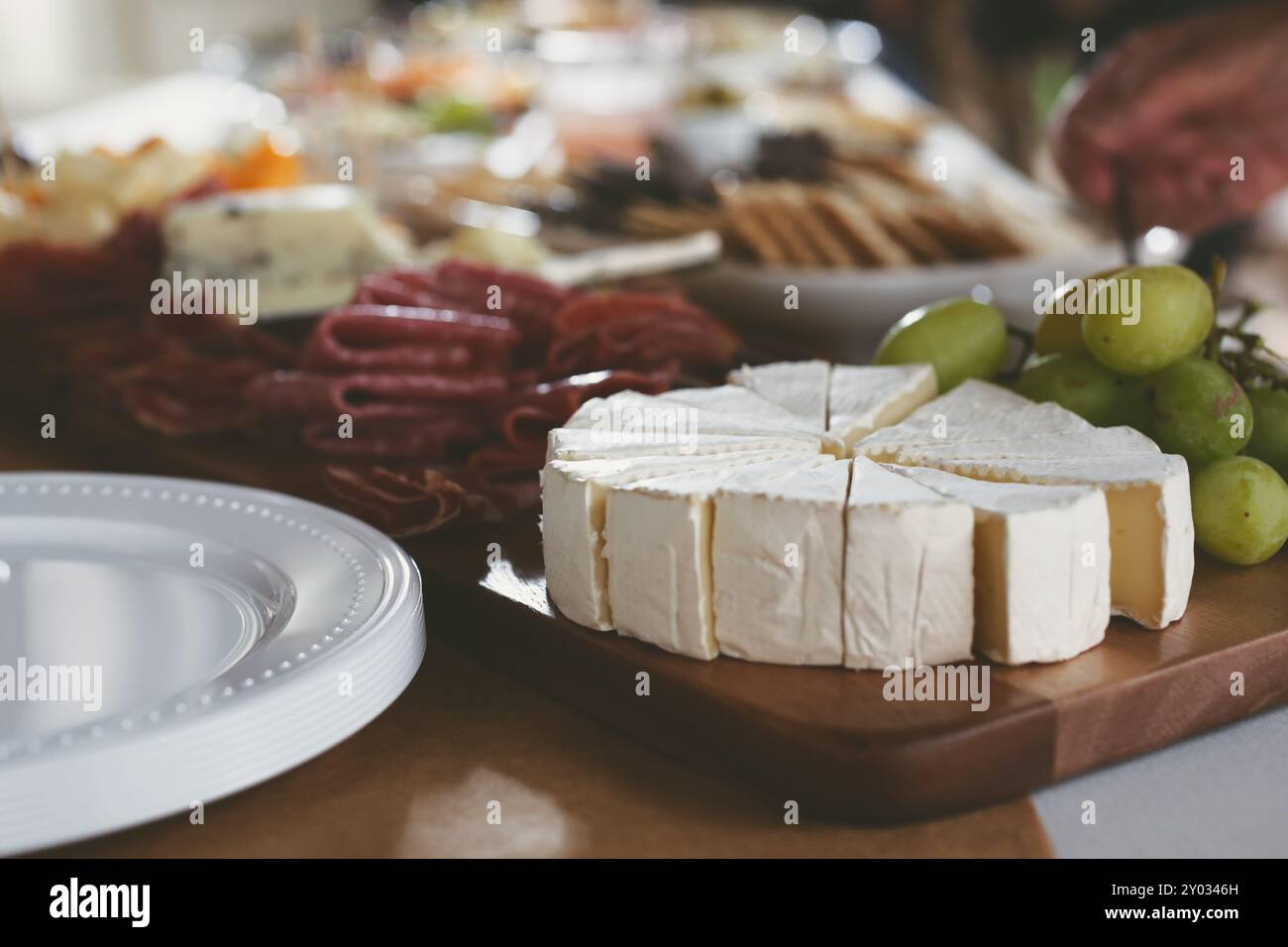 Vista su un tavolo da pascolo, con salame e brie. Foto Stock