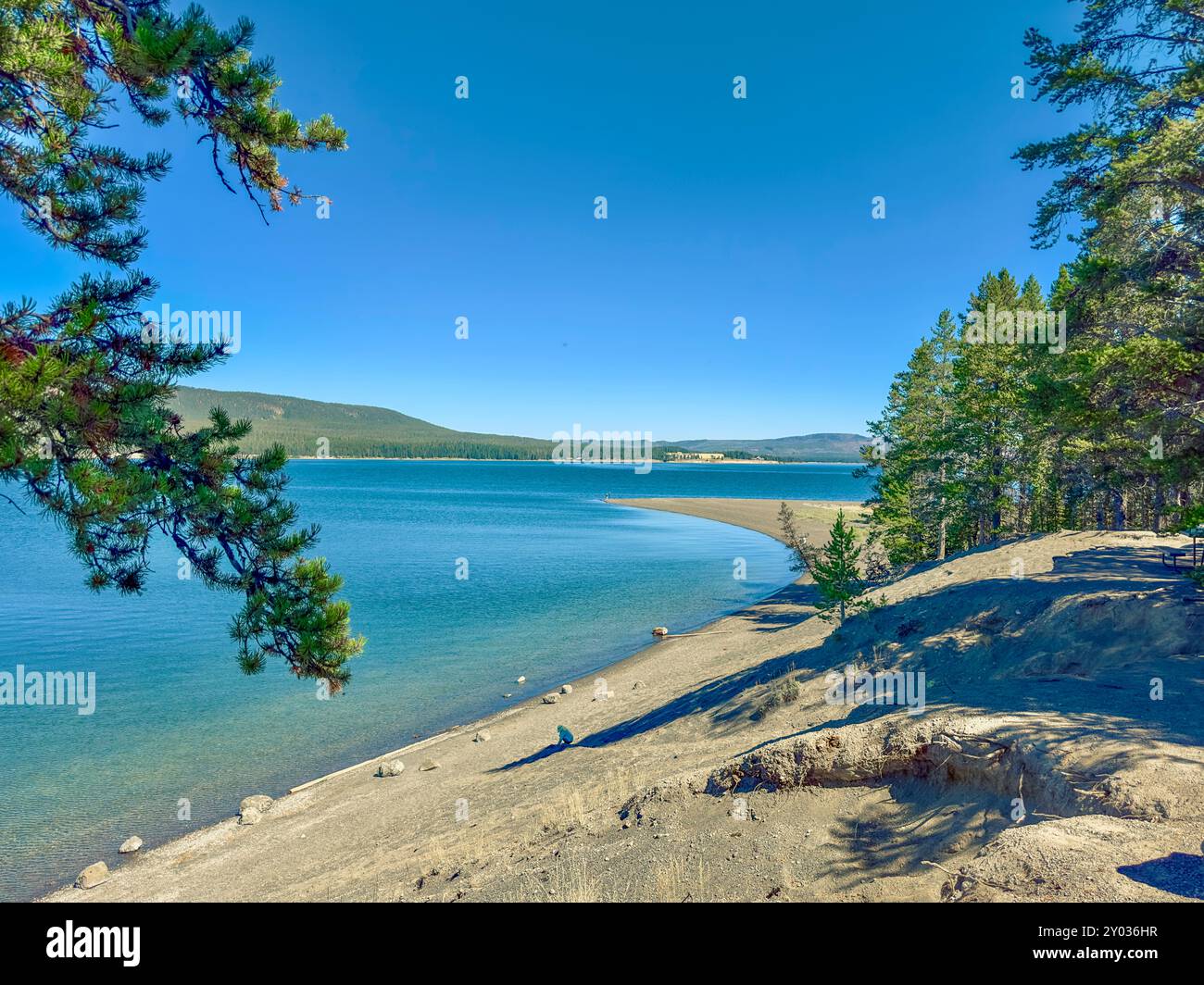 Gull Point nel parco nazionale di Yellowstone, si affaccia sul lago di Yellowstone, con foreste, montagne e il Yellow Lake Hotel sulla riva più lontana di alberi di pino. Foto Stock