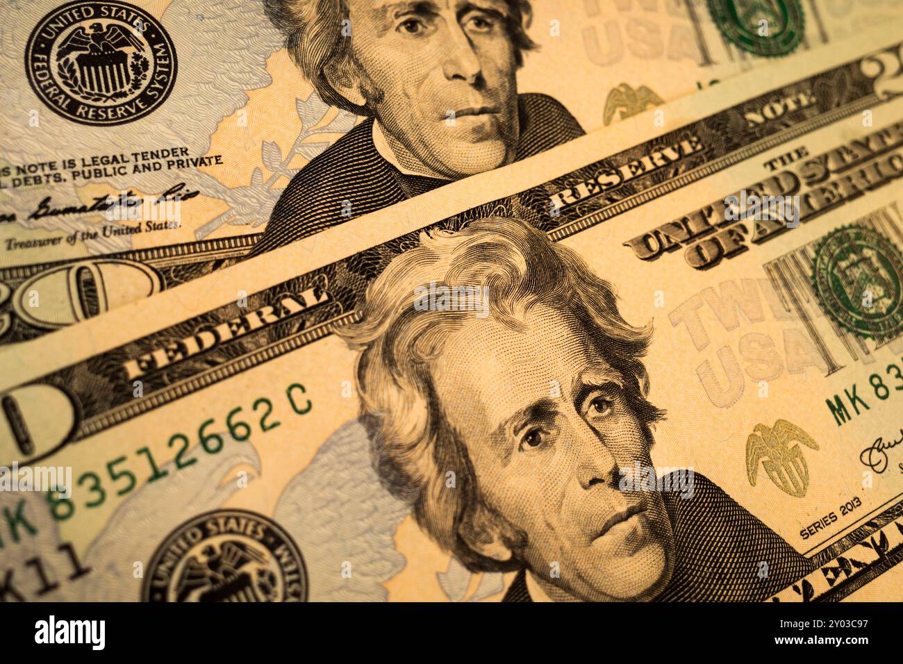 31 agosto 2024, Stati Uniti d'America: Il $20 Bill con il presidente Andrew Jackson in faccia. Il dollaro statunitense si trova di fronte a una complessa rete di sfide politiche ed economiche che influiscono sul suo valore e sulla più ampia economia statunitense. Politicamente, i dibattiti in corso sulla spesa federale, i limiti del tetto del debito e le politiche fiscali stanno creando incertezza nei mercati finanziari. L'approccio del governo alla gestione dell'inflazione, in particolare attraverso aggiustamenti dei tassi di interesse da parte della Federal Reserve, svolge un ruolo cruciale nel determinare la forza del dollaro. I recenti aumenti dei tassi volti a frenare l’inflazione hanno portato Foto Stock