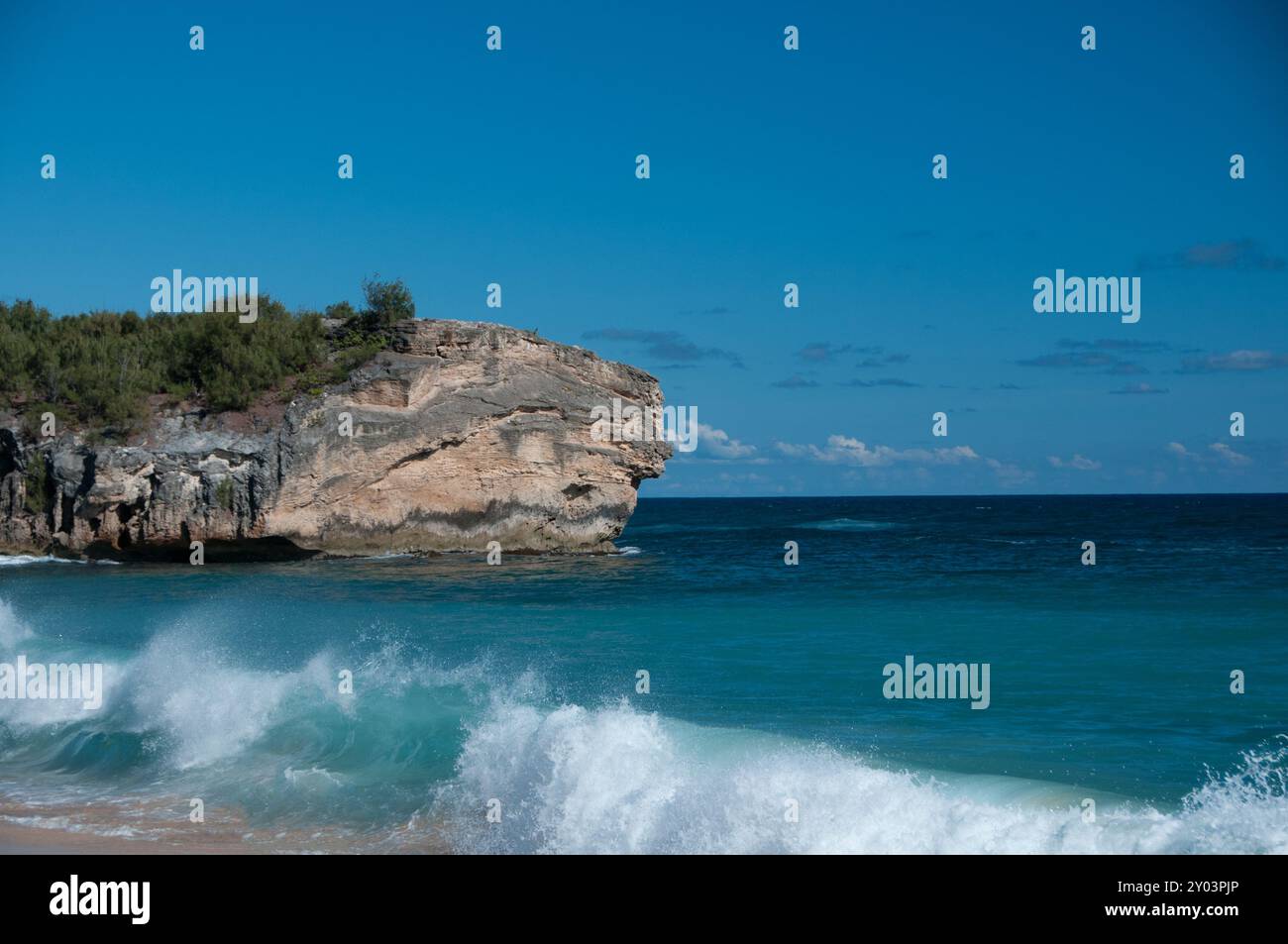 Oceano vicino alla costa di Kauai Hawaii Foto Stock