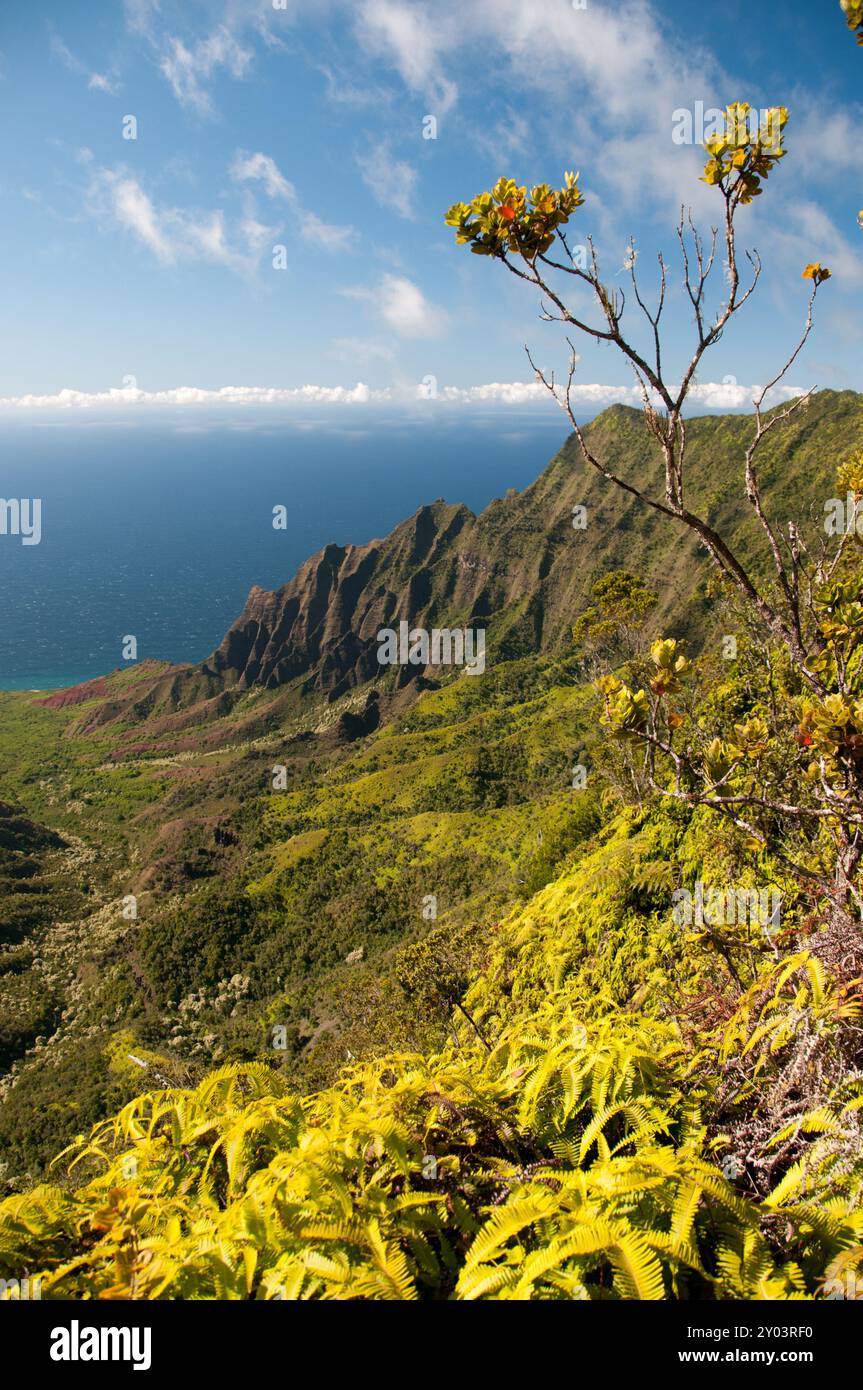 La cima del Waimea Canyon si affaccia sull'Oceano Pacifico Foto Stock