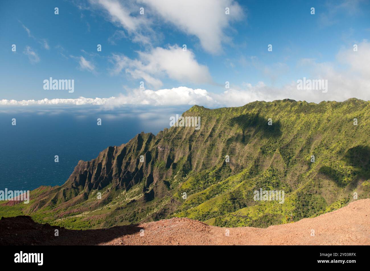 La cima del Waimea Canyon si affaccia sull'Oceano Pacifico Foto Stock