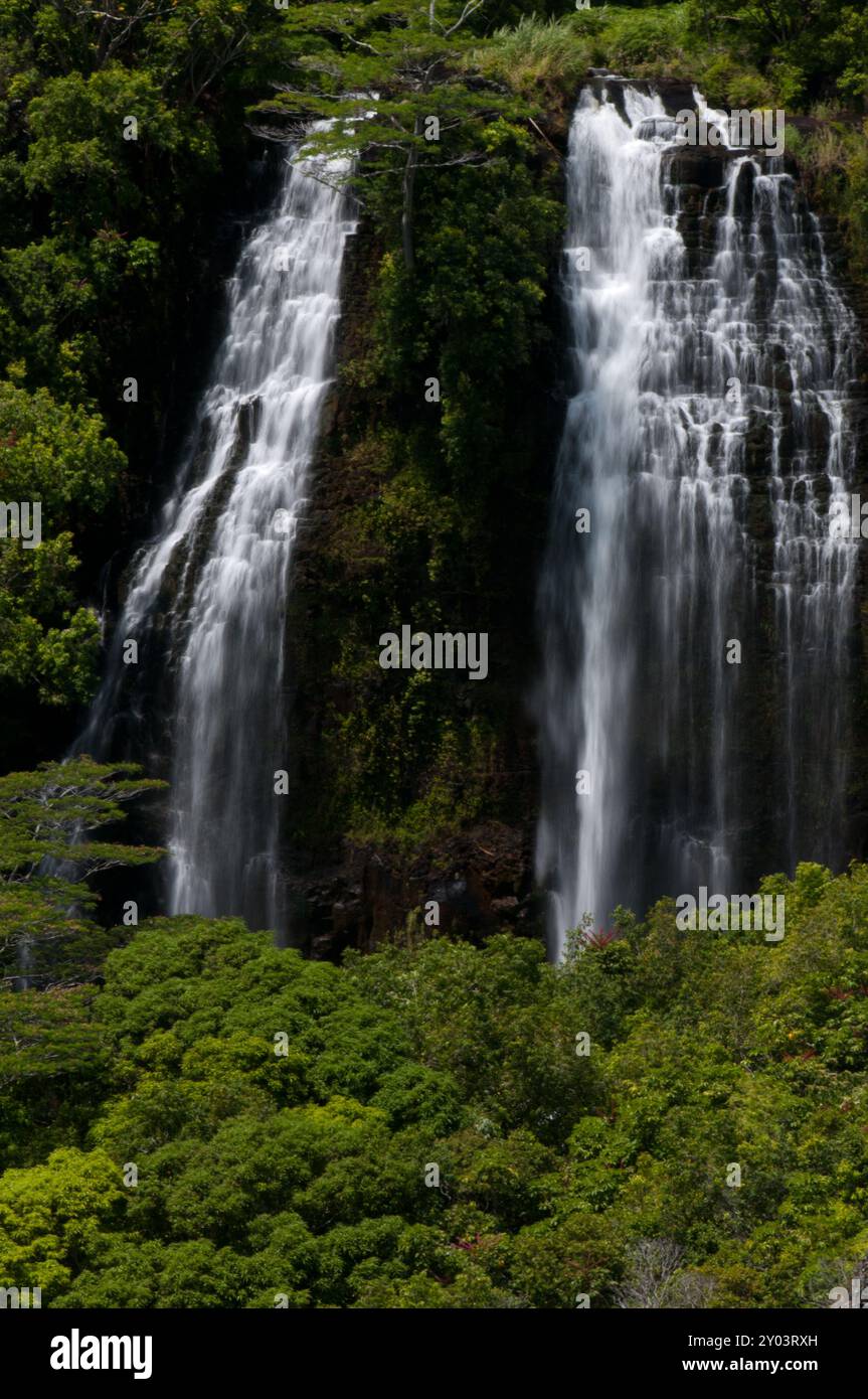 Le cascate Double Waterfall Opaekaa Falls a Kauai Hawaii Foto Stock