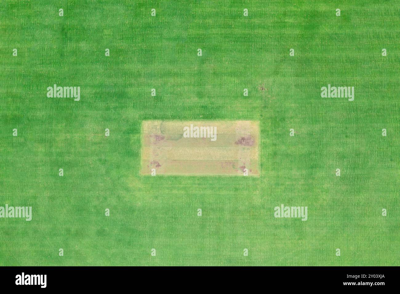 Vista aerea dall'alto verso il basso di un campo da cricket in erba in Australia. Foto Stock