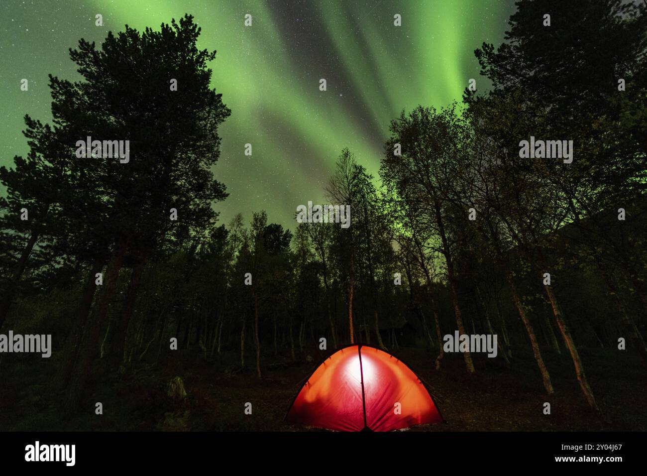 Aurora boreale (Aurora boreale) riflessa in un lago, Parco Nazionale di Rago, Nordland, Norvegia, bivacco, tenda, illuminazione, Scandinavia, Europa Foto Stock