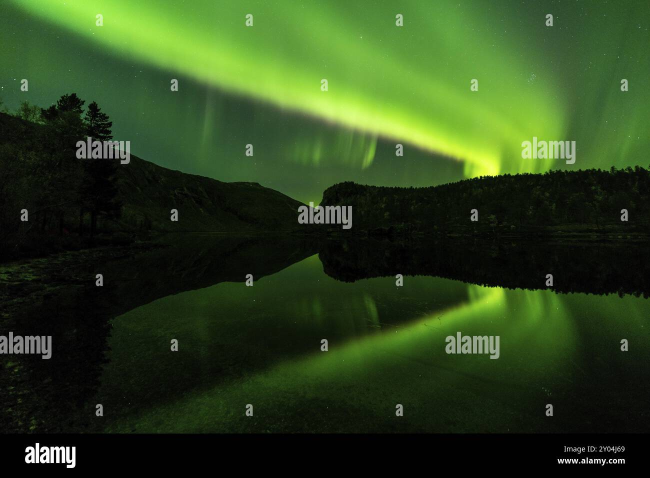 Aurora boreale (Aurora boreale) riflessa in un lago, Parco Nazionale di Rago, Nordland, Norvegia, Scandinavia, Europa Foto Stock