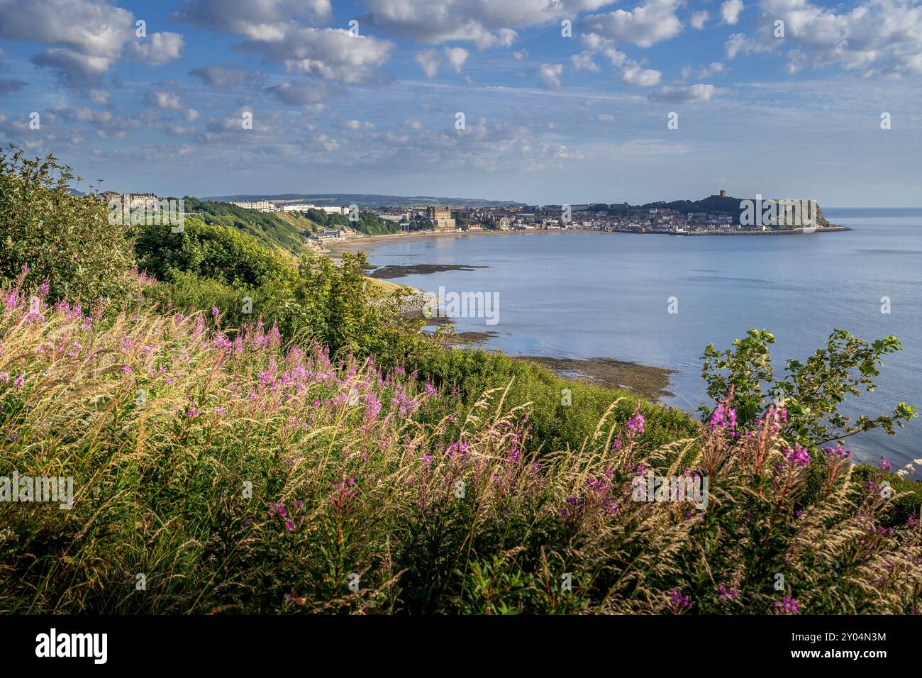 Scouth Bay, soleggiata, la mattina presto a Scarborough. Vista dall'alto Foto Stock