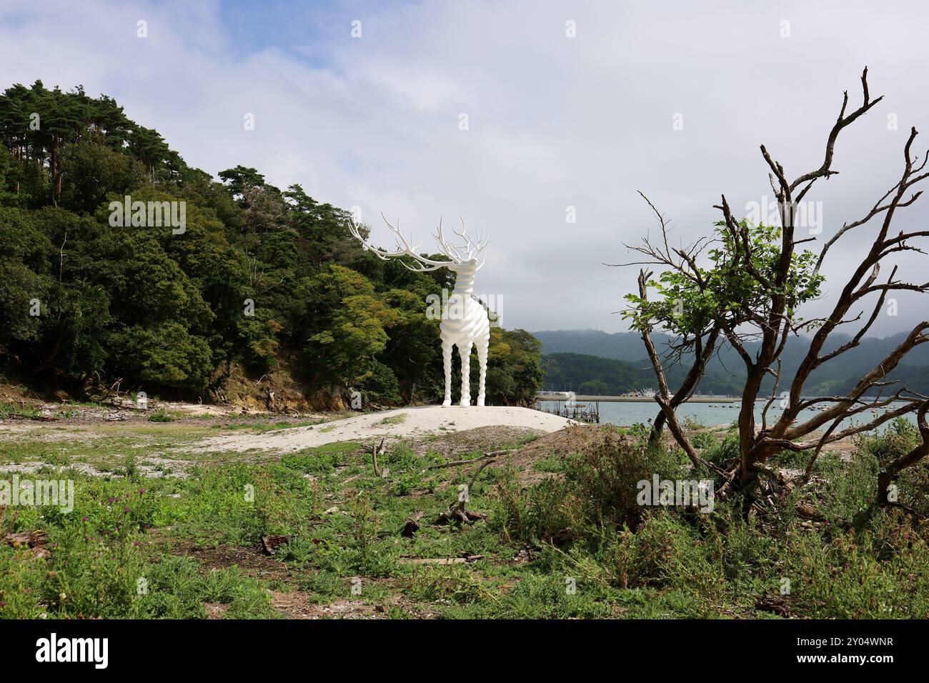 1° settembre 2024. Ishinomaki, Prefettura di Miyagi, Giappone. I dintorni di White Deer (Oshika), un'opera di Kohei Nawa. Foto Stock