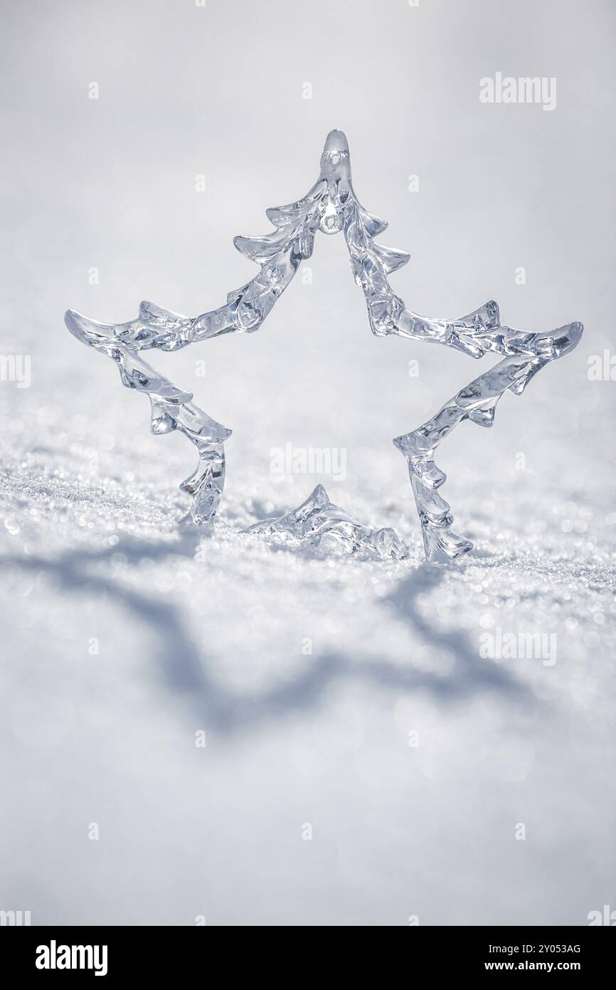 Stella del Natale d'argento sulla neve vera all'aperto. Concetto di vacanza invernale. Profondità bassa dei campi Foto Stock