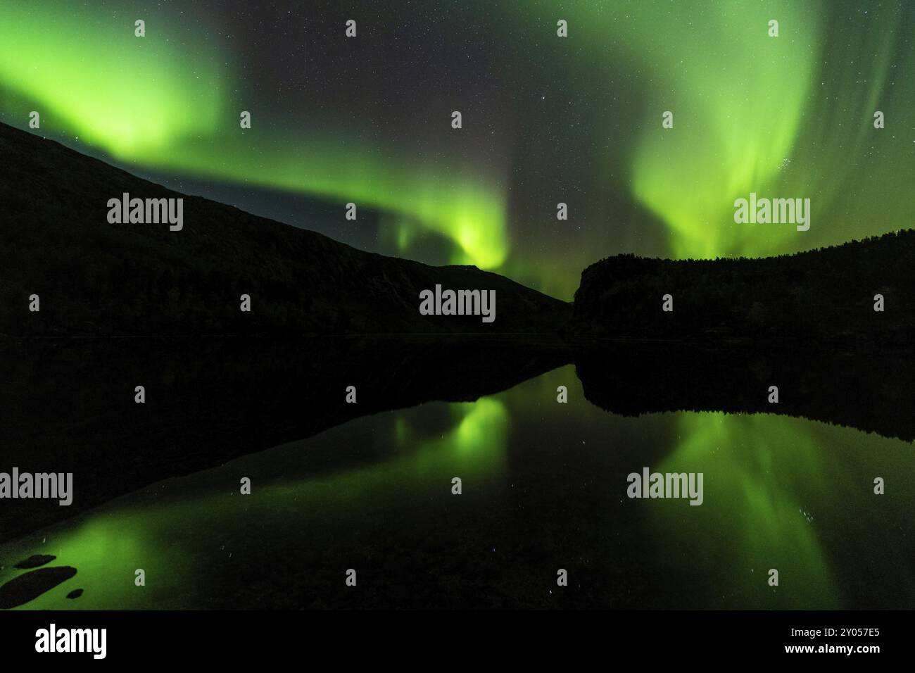 Aurora boreale (Aurora boreale) riflessa in un lago, Parco Nazionale di Rago, Nordland, Norvegia, Scandinavia, Europa Foto Stock