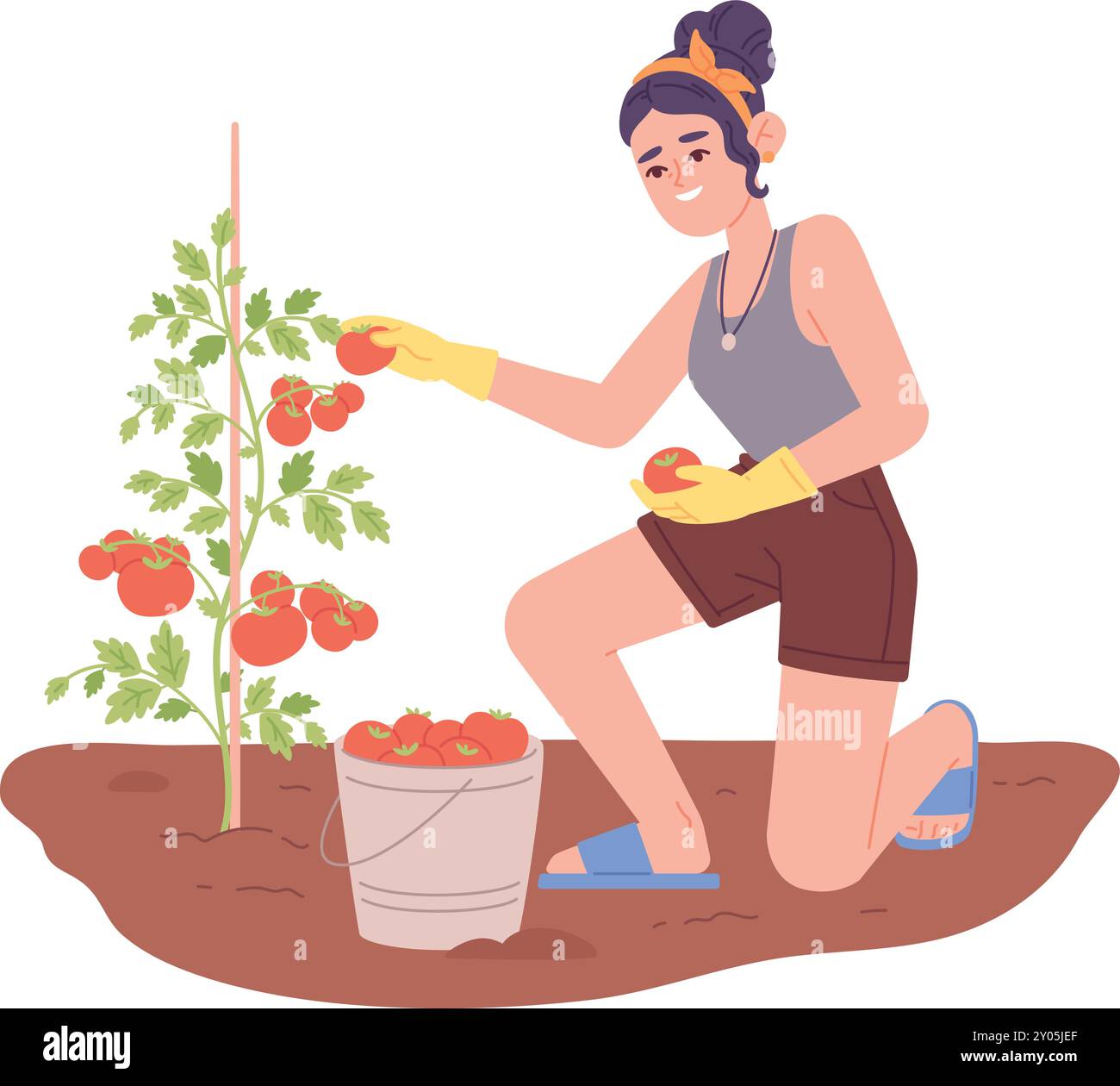 La donna sceglie i pomodori dall'illustrazione colorata del giardino isolata su sfondo bianco Illustrazione Vettoriale