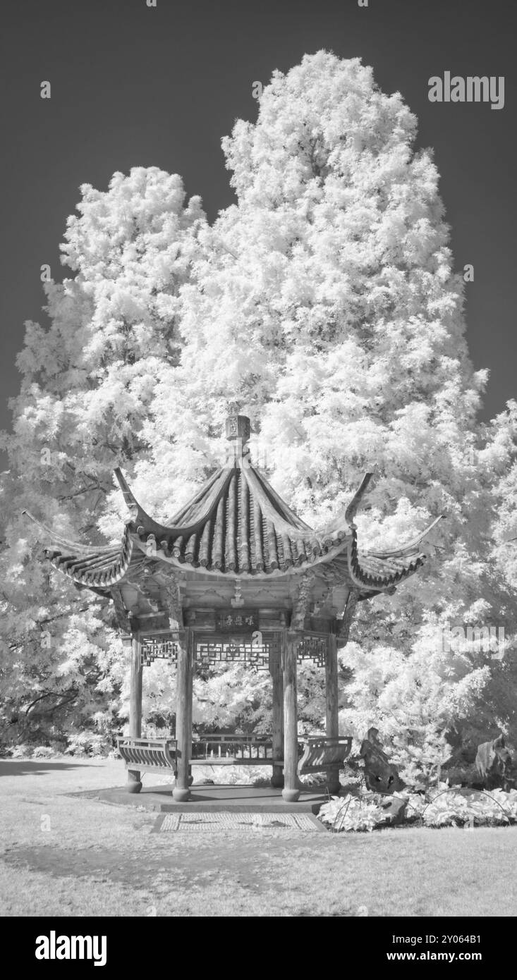 Pagoda cinese, in banda larga a infrarossi Wisley, Woking, Surrey Foto Stock