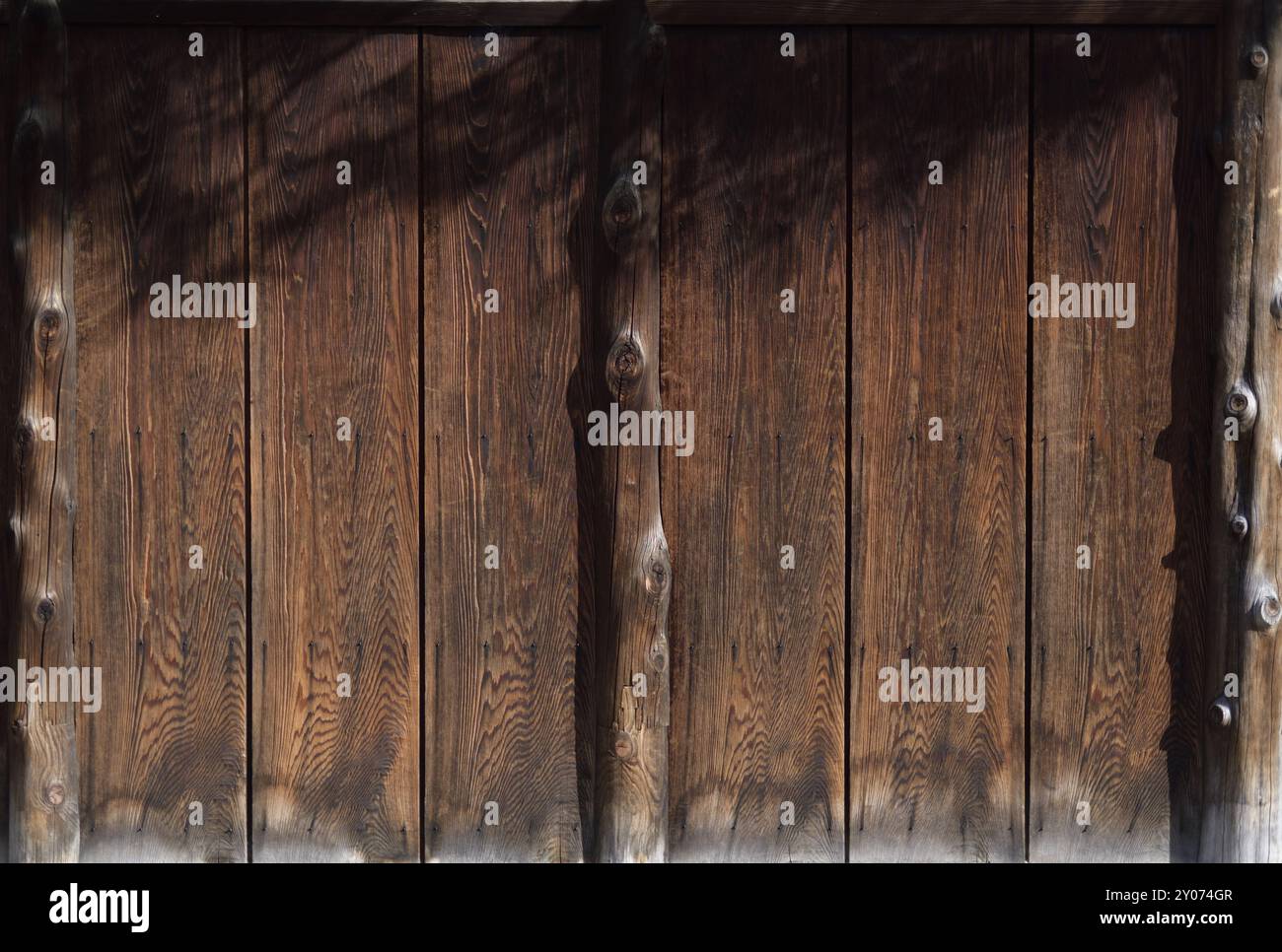 Carbonizzati giapponese il marrone scuro del legno di cedro, Shou Sugi divieto o Yakisugi, texture di sfondo artistico con ombre di foglie di albero. Dettagli architettonici. Ky Foto Stock