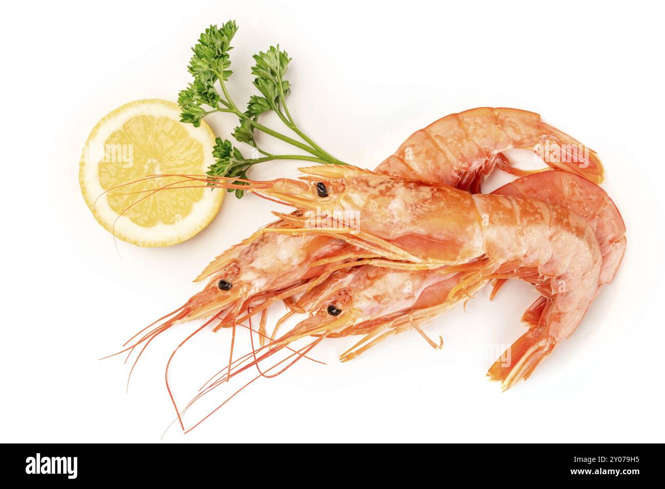 Una foto aerea di un grezzo di gamberi su bianco, con prezzemolo e una fettina di limone, con spazio di copia Foto Stock