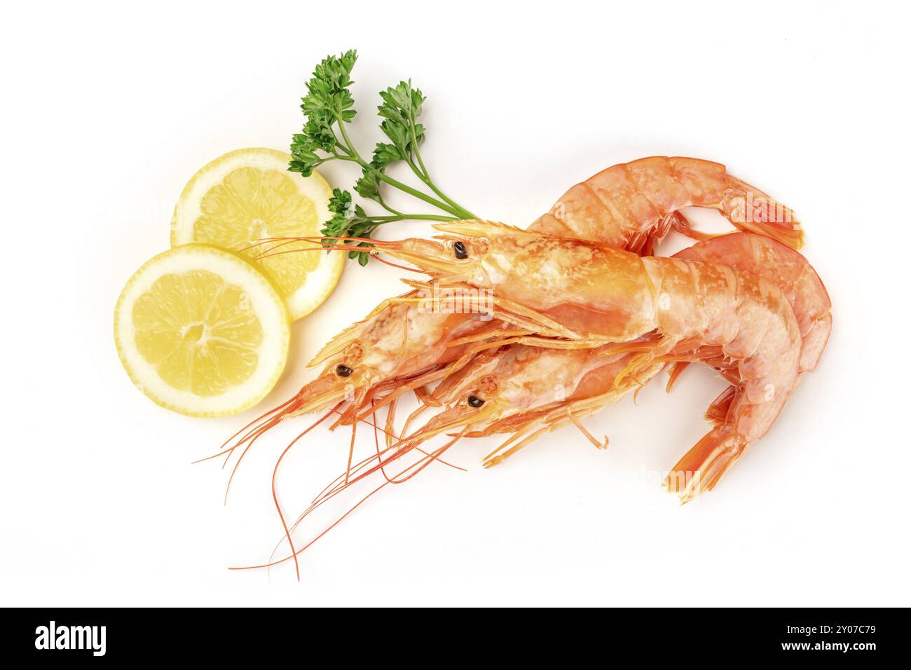 Una foto aerea di un grezzo di gamberi su bianco, con prezzemolo e fettine di limone, con spazio di copia Foto Stock