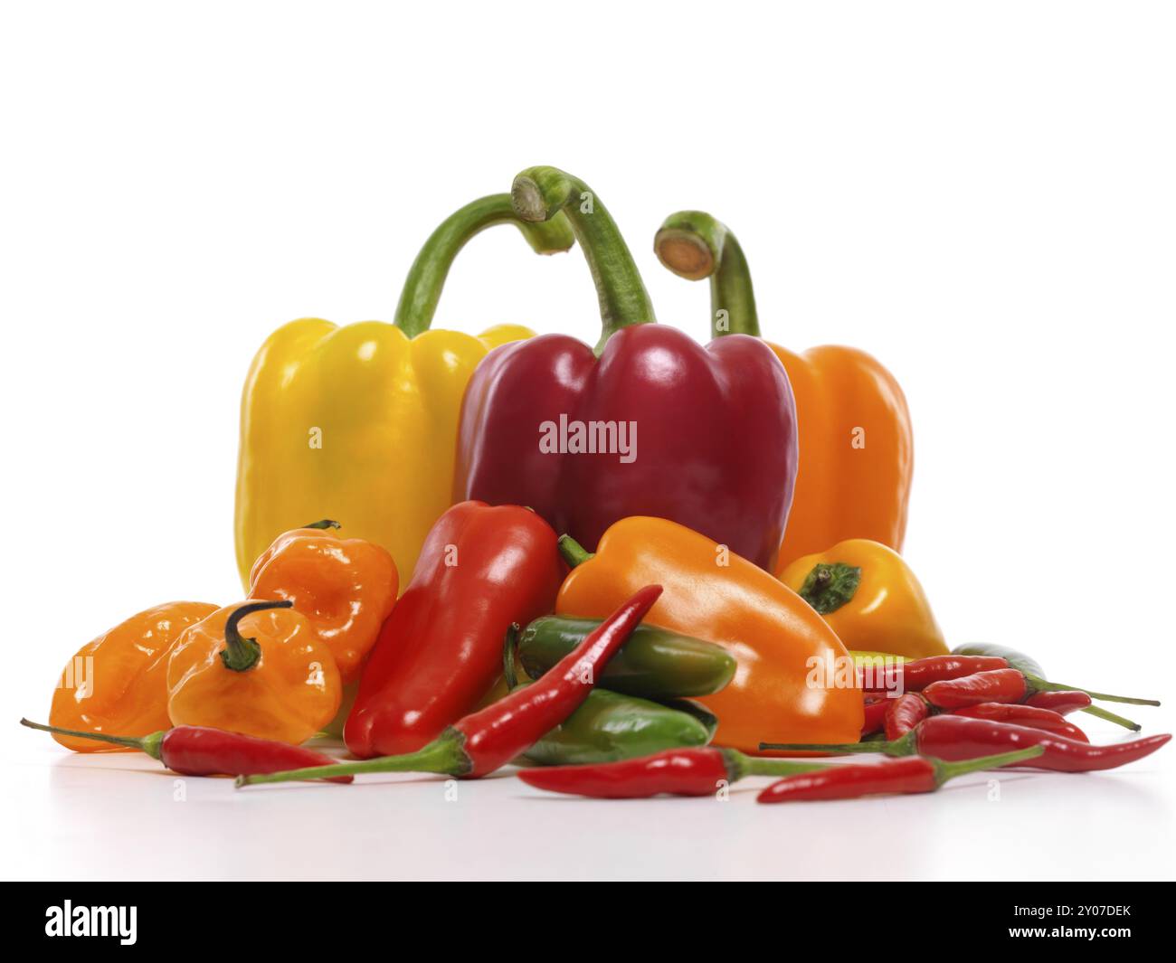 Varietà di peperoni dolci e piccanti, peperoni rossi, gialli, peperoni dolci d'arancia, jalapeno, Cubanelle, peperoni thailandesi, peperoncino Scotch Bonnet, peperoni dolci. Cibo Foto Stock