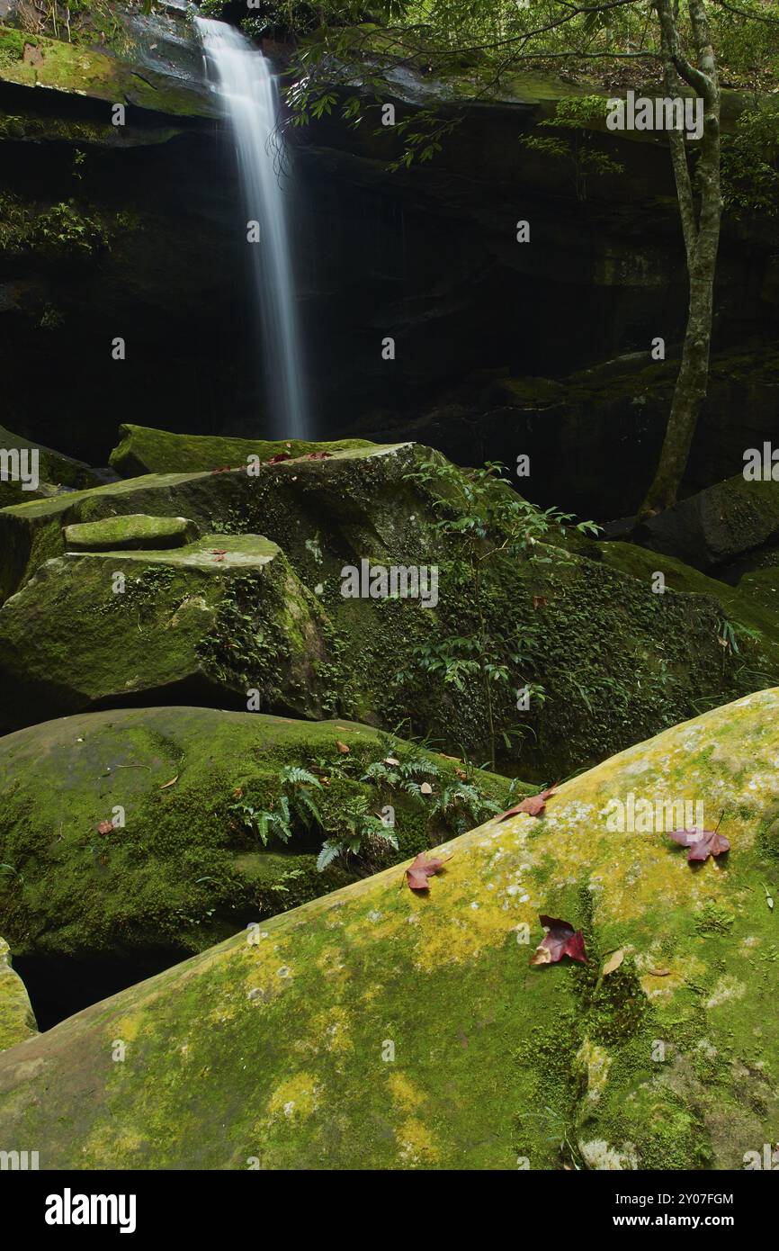 Cascata Thamyai al parco nazionale di phu Kradueng, provincia di Loei, Thailandia, Asia Foto Stock