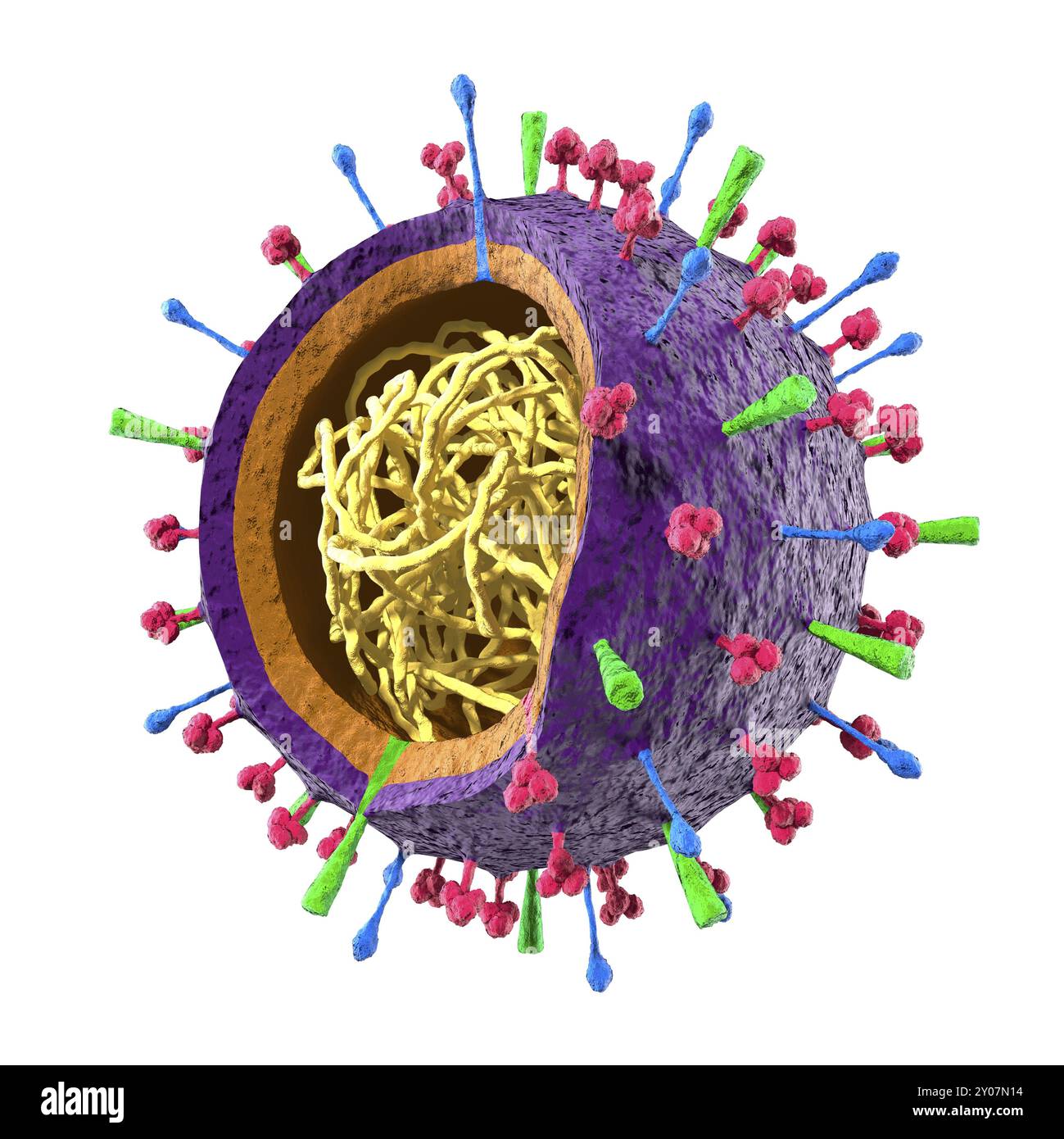 Particella colorata del virus dell'influenza H1N1 H5N1 virus dell'influenza A, struttura del virion. Illustrazione 3D isolata su sfondo bianco. Rosso, neuraminidasi, blu, h Foto Stock