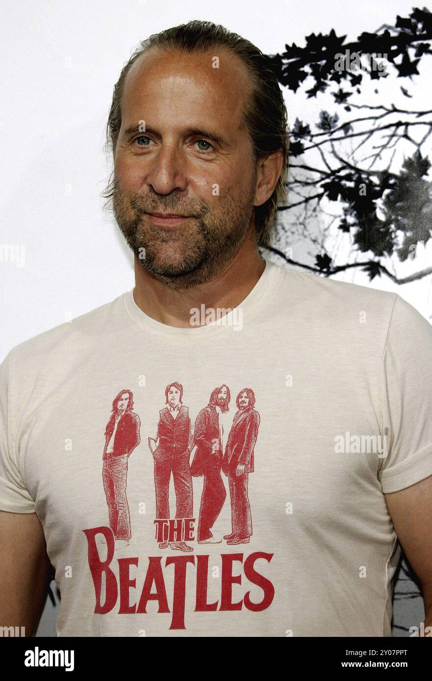 Peter Stormare alla Los Angeles Premiere of Premonition tenutasi al Cinerama Dome di Hollywood, USA il 12 marzo 2007 Foto Stock