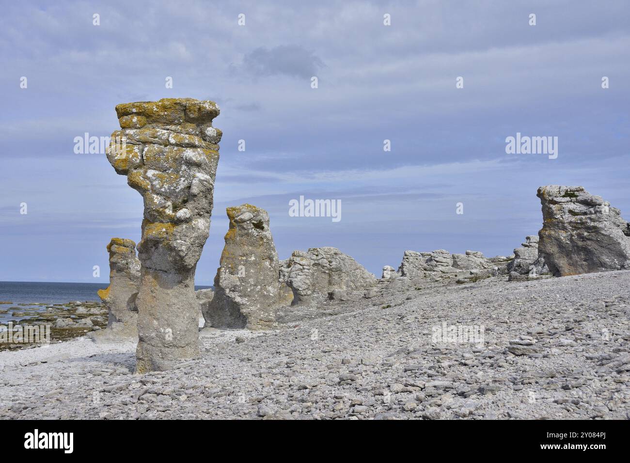 Rauks a Langhammars a Gotland, Svezia. Costa con pietre grezze a Langhammars, sull'isola di Faroe su Gotland Foto Stock