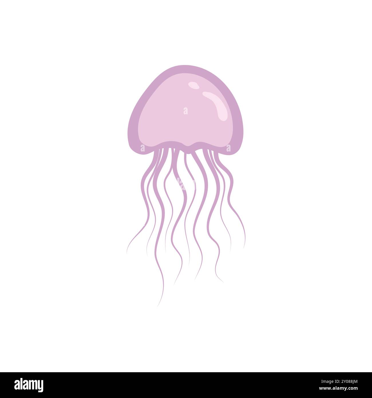 Elegante Jellyfish Vector Art - illustrazione della vita sottomarina Illustrazione Vettoriale