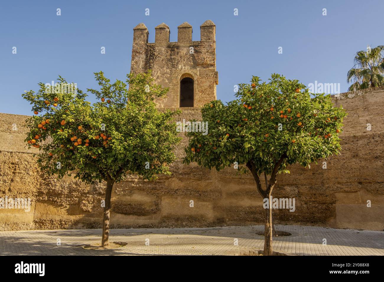 Mura della città vecchia della città storica di Siviglia, Andalusia, Spagna, Europa Foto Stock