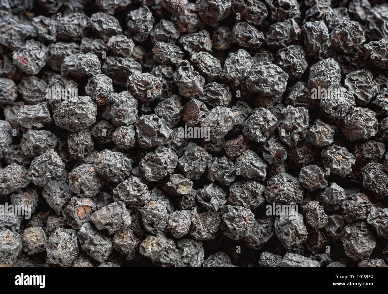 Foto ravvicinata dell'Aronia melanocarpa essiccata (bacca nera), messa a fuoco selettiva. Foto Stock