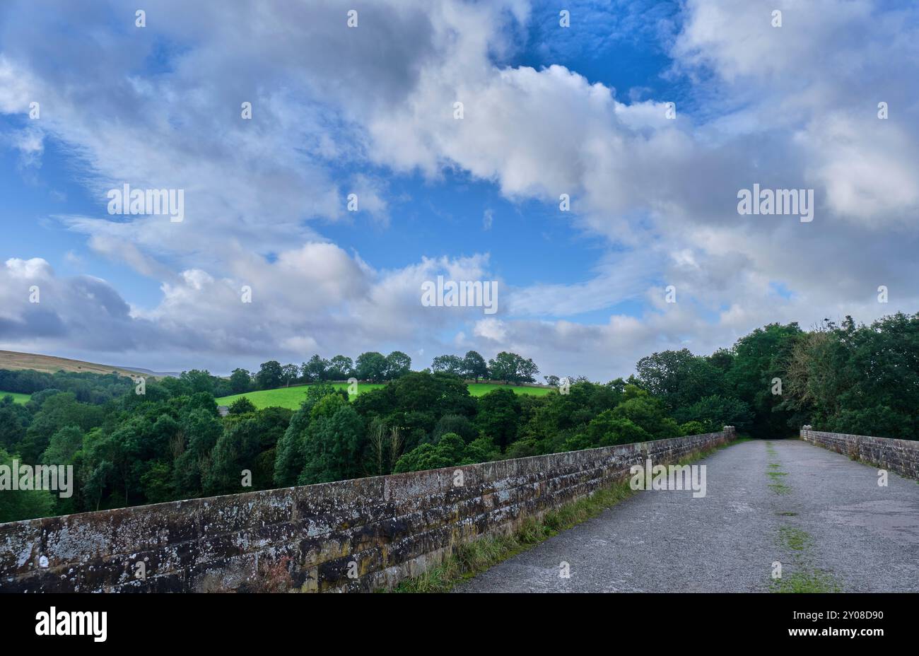 Viadotto di Podgill sulla linea ferroviaria in disuso vicino a Kirkby Stephen, Cumbria Foto Stock
