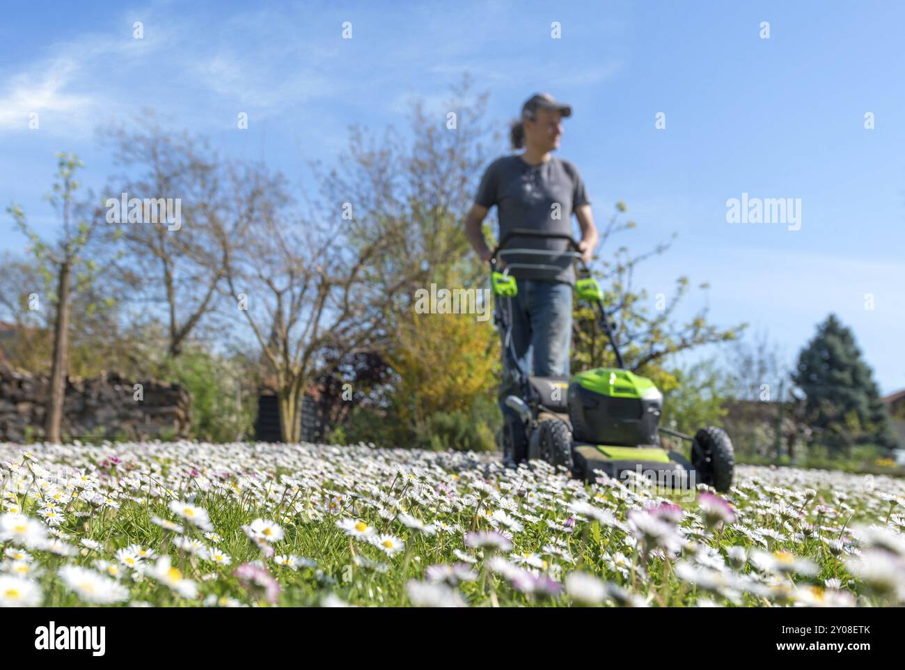 Prato con margherite su un cielo blu con uomo sfocato, rasaerba e sfondo Foto Stock