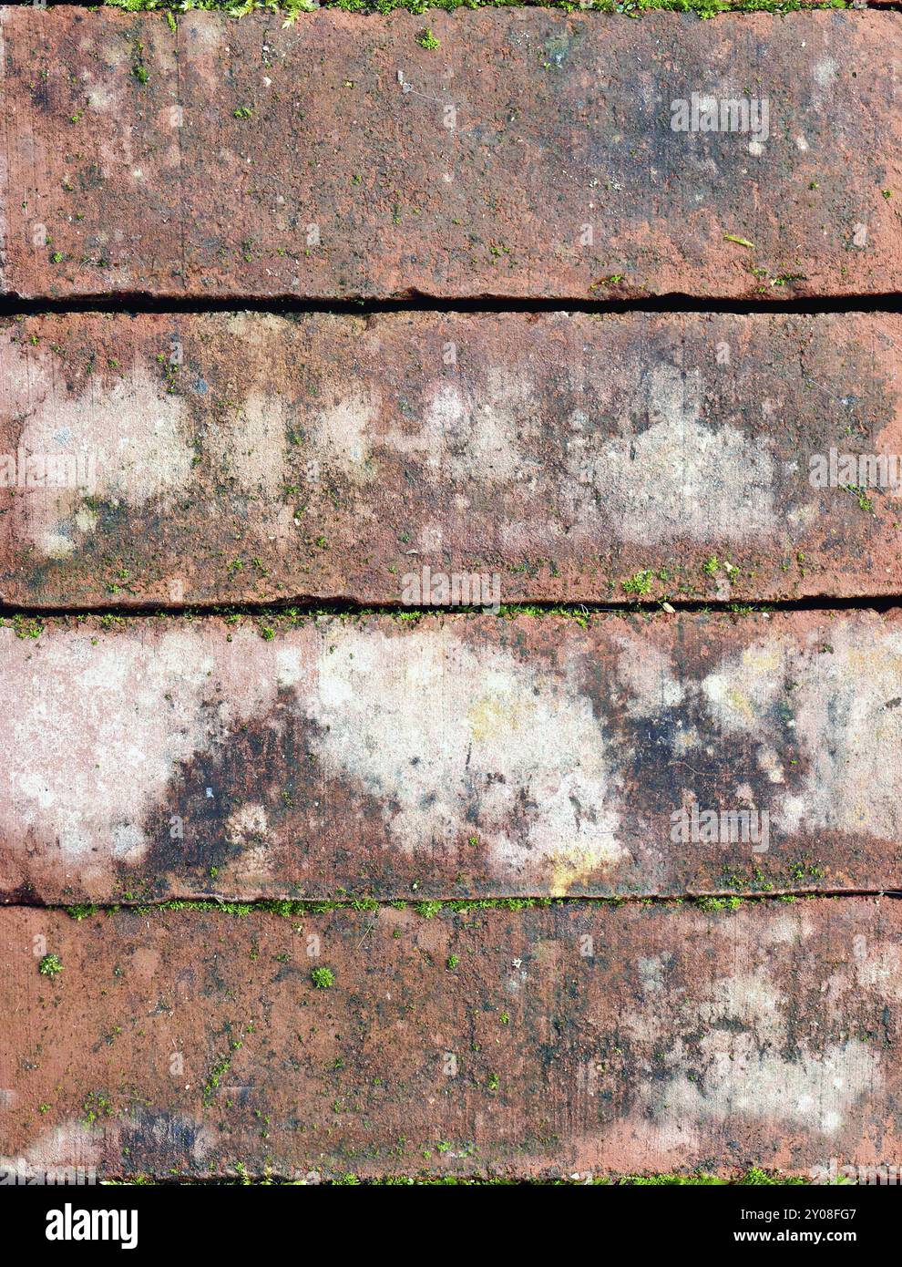 Quattro mattoni rossi e grigi con muschio, fondo grunge, primo piano Foto Stock