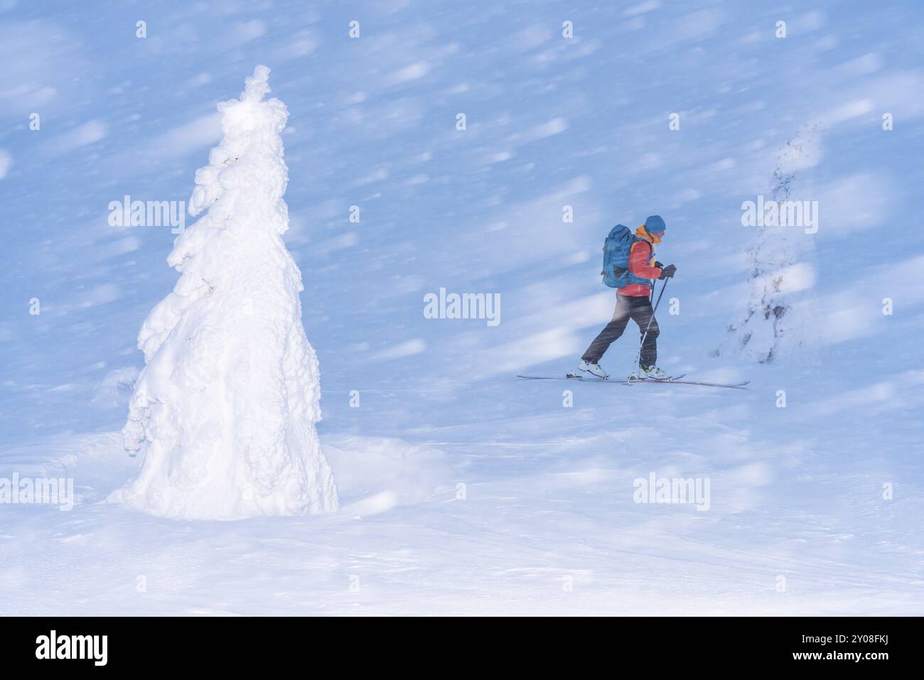Sciatori sulla neve, riserva naturale di Dundret, Gaellivare, Norrbotten, Lapponia, Svezia, febbraio 2016, Europa Foto Stock