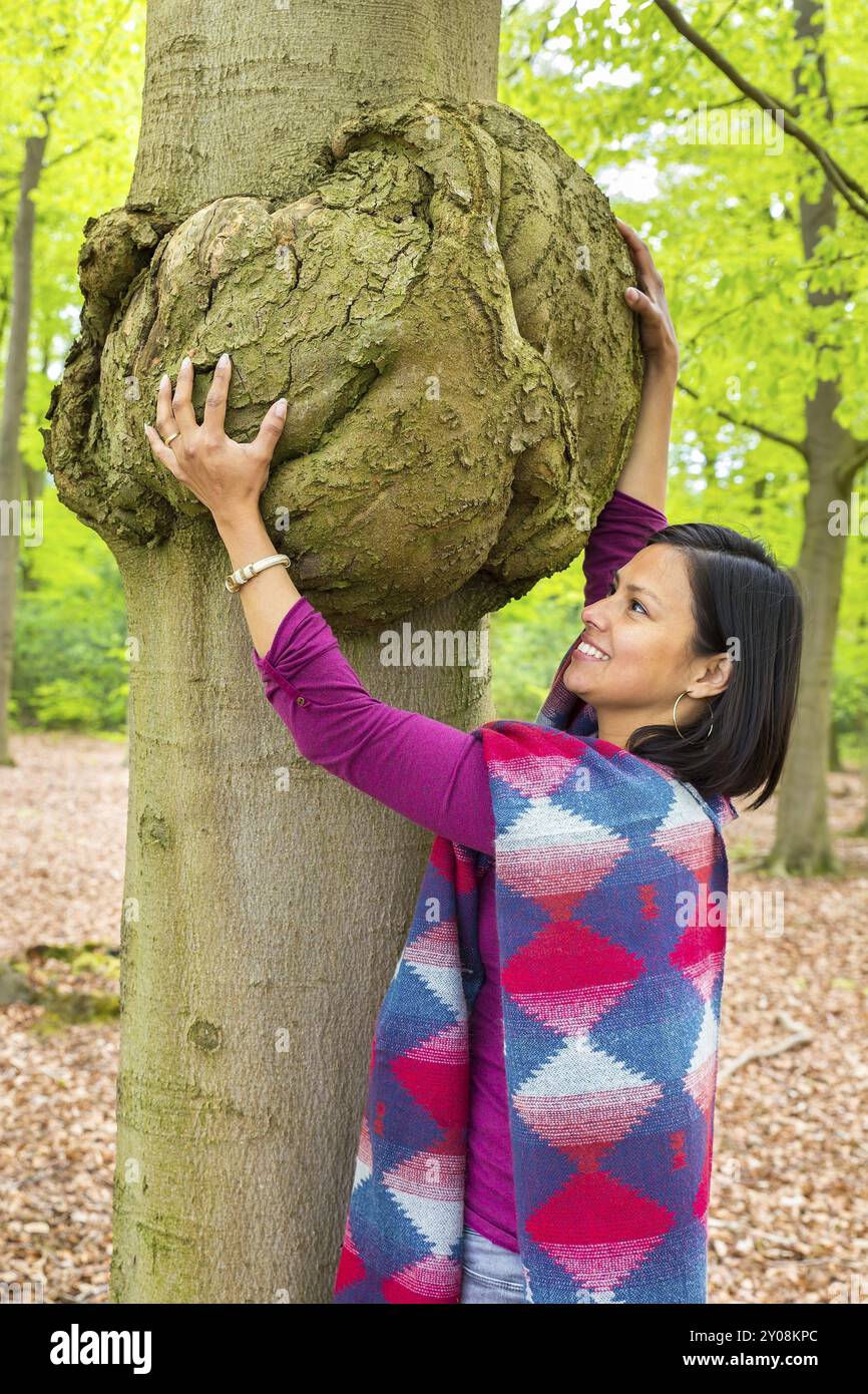 Donna colombiano holding tumore canceroso in faggio tronco di albero Foto Stock